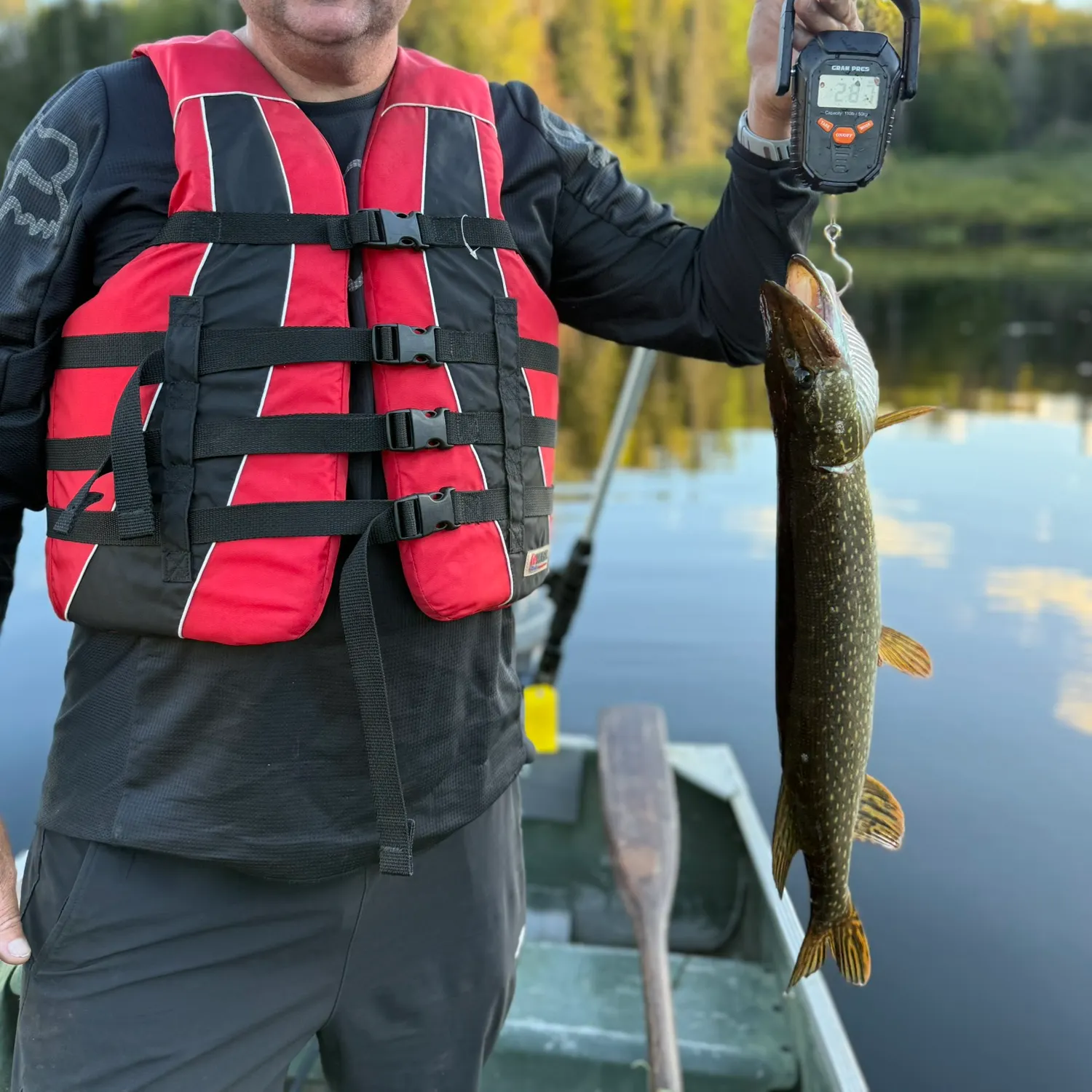 Northern pike caught on Fishbrain