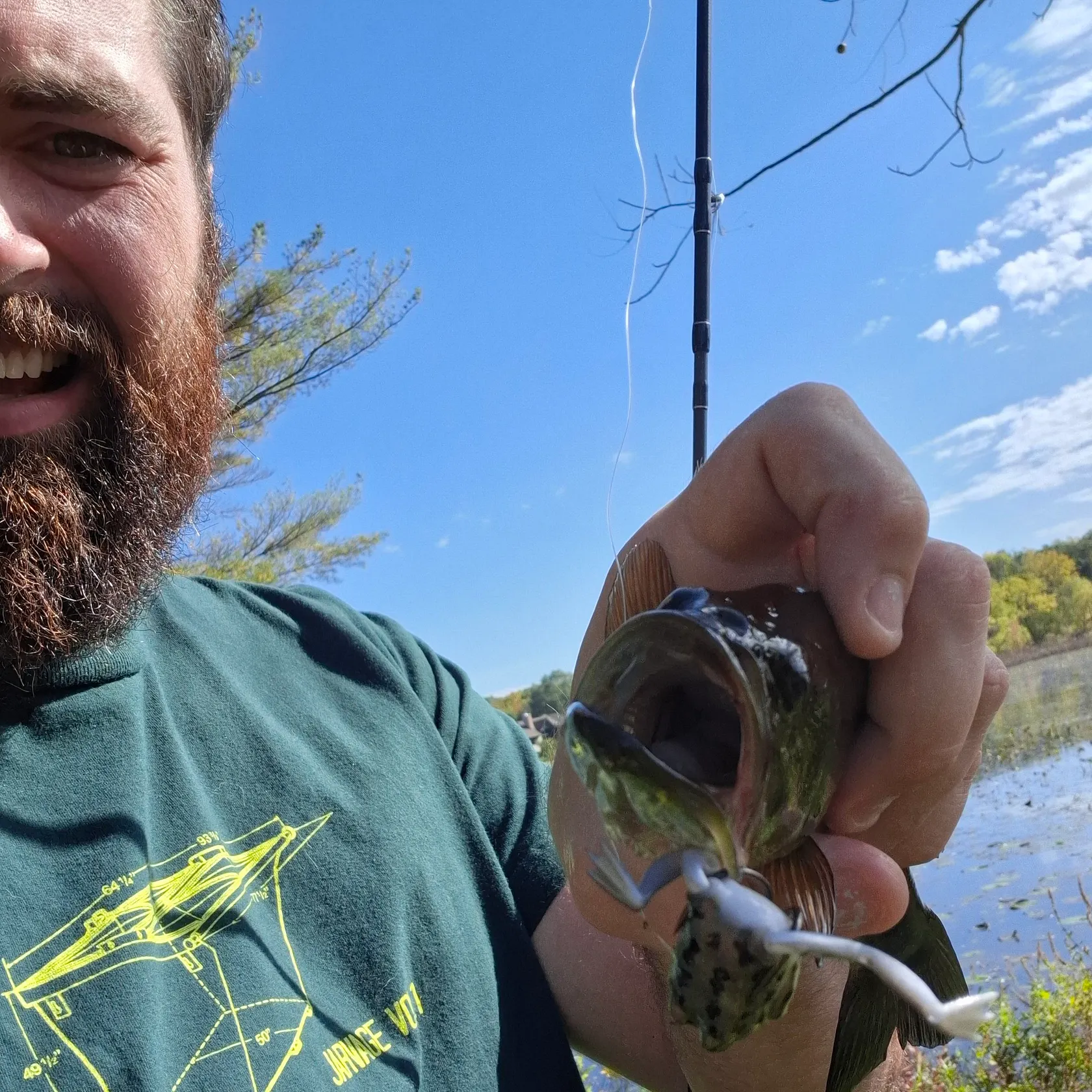 Largemouth bass caught on Fishbrain
