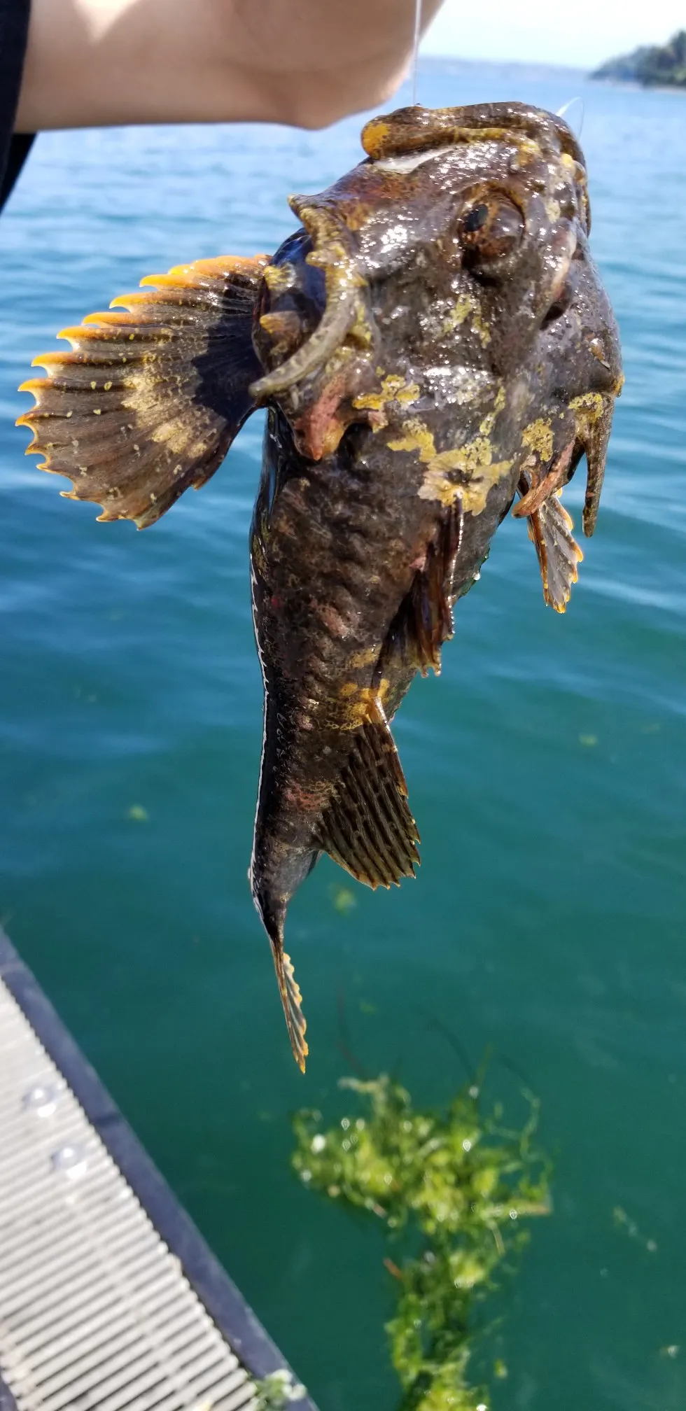 Post image from tavery6337