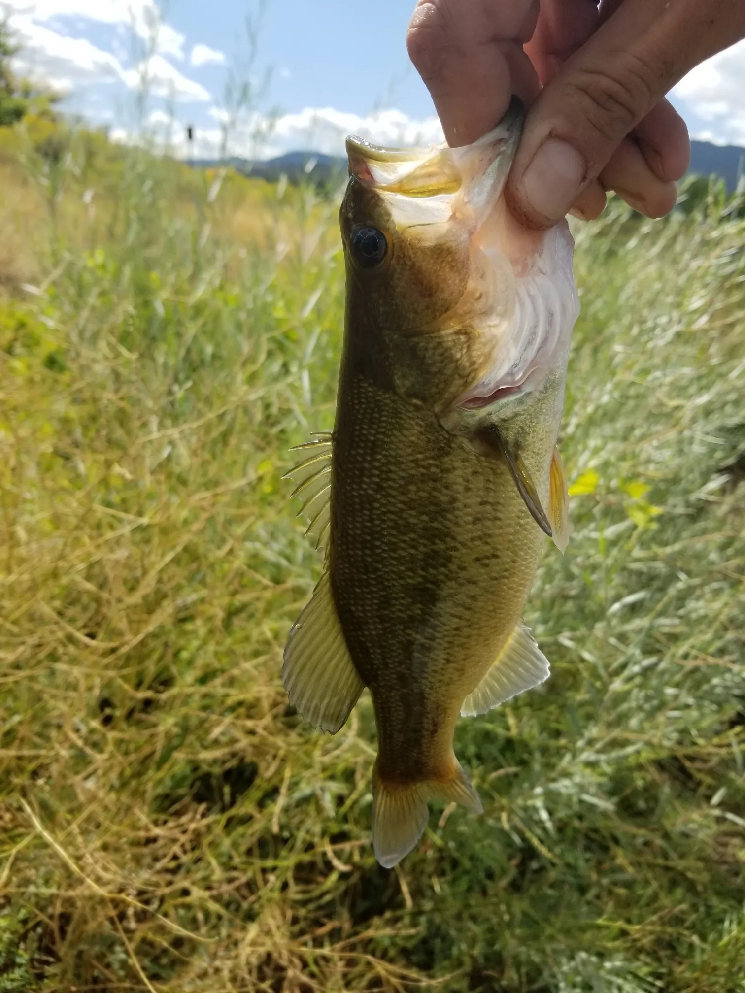 Post image from Amputee_Angler