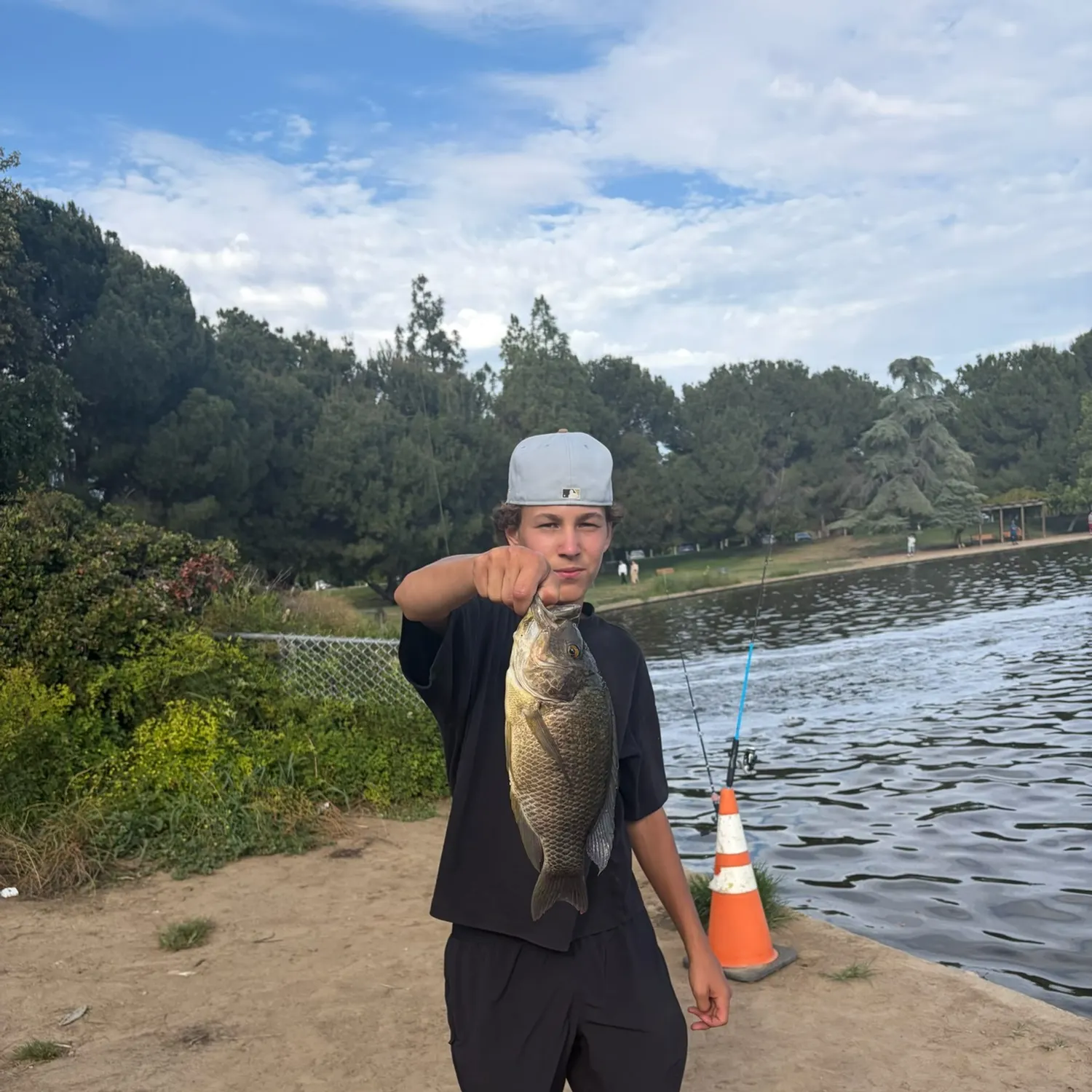 The most recent Mozambique tilapia catches on Fishbrain