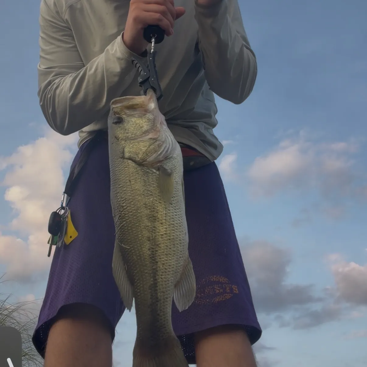The most recent Largemouth bass catches on Fishbrain