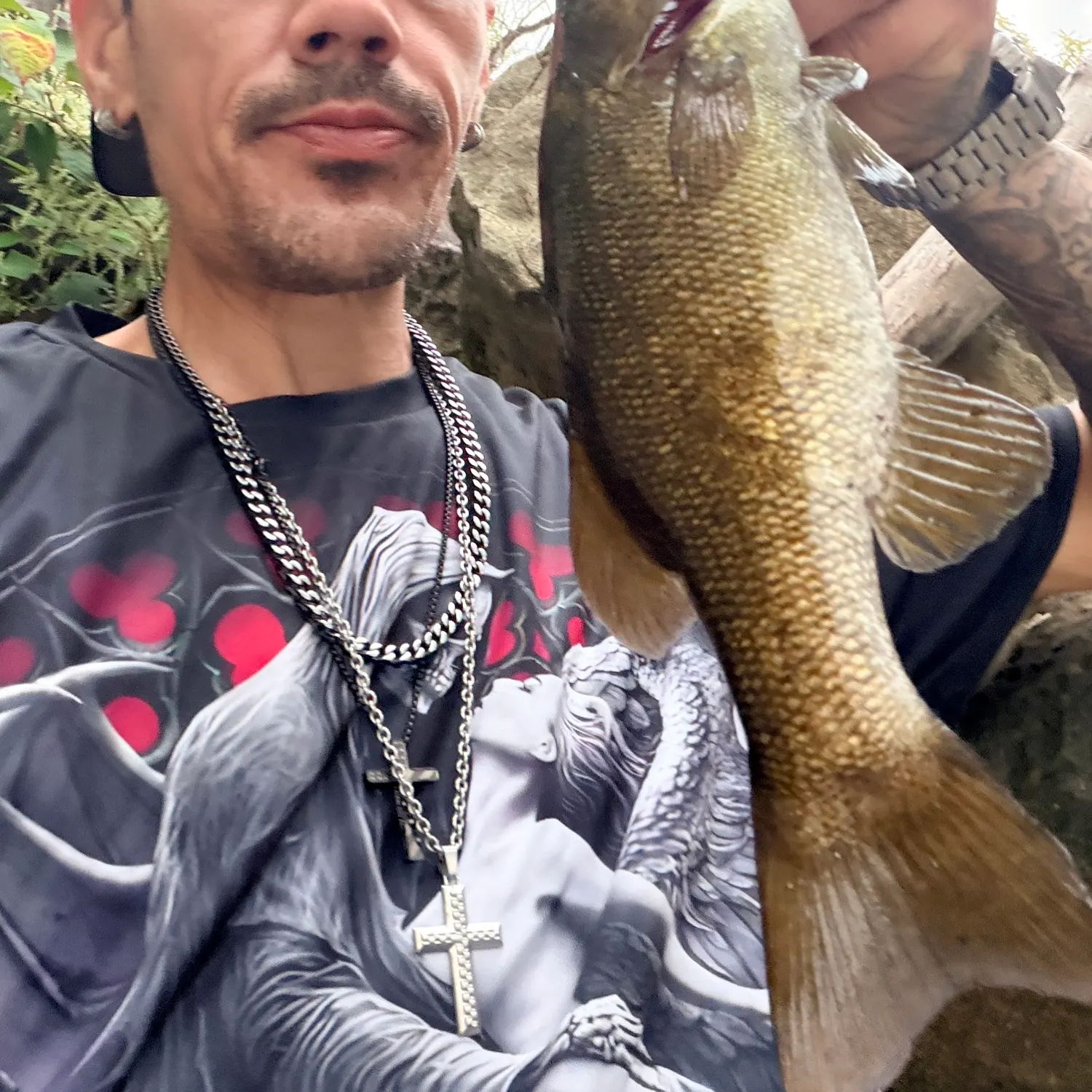 Smallmouth bass caught on Fishbrain