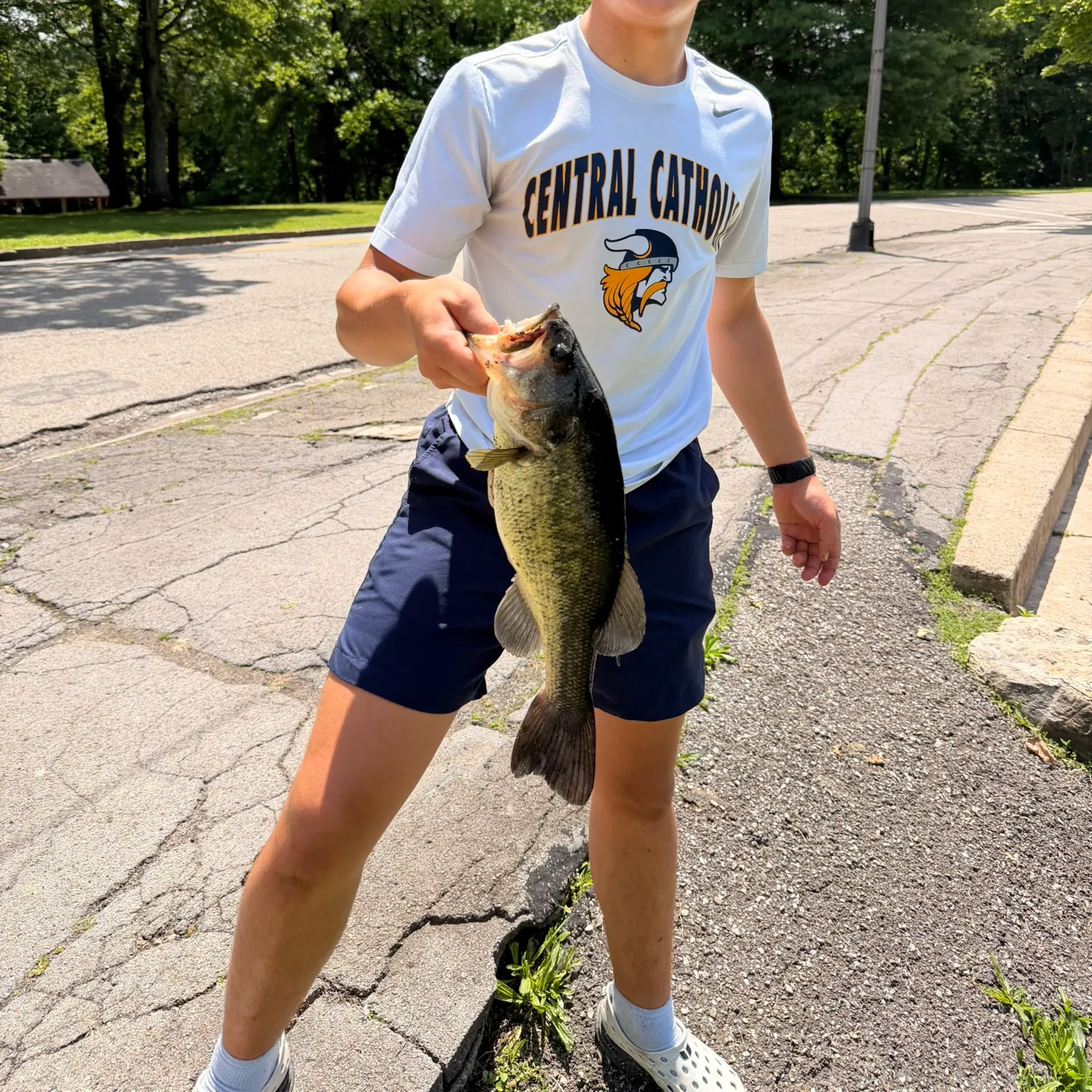 catch