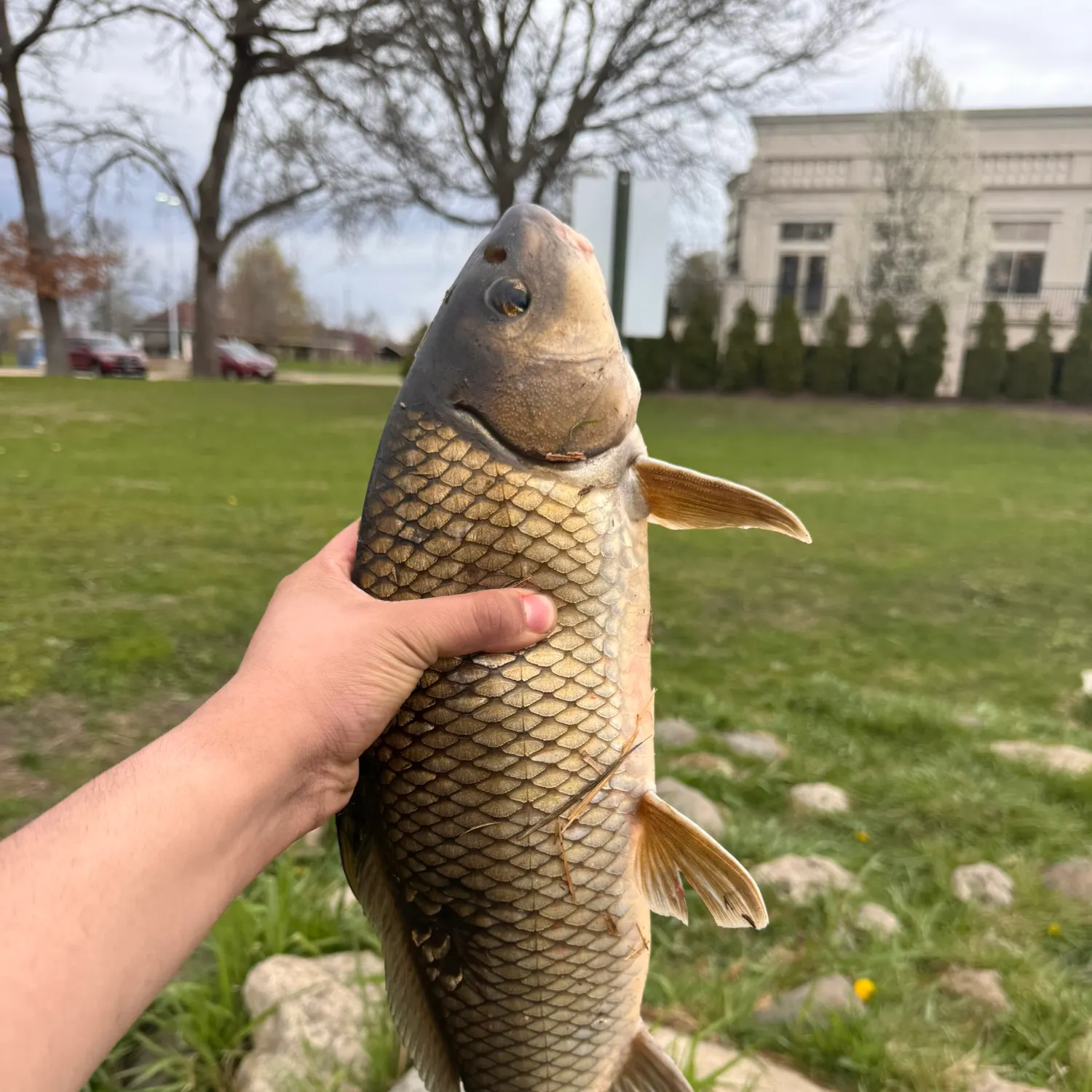 catch