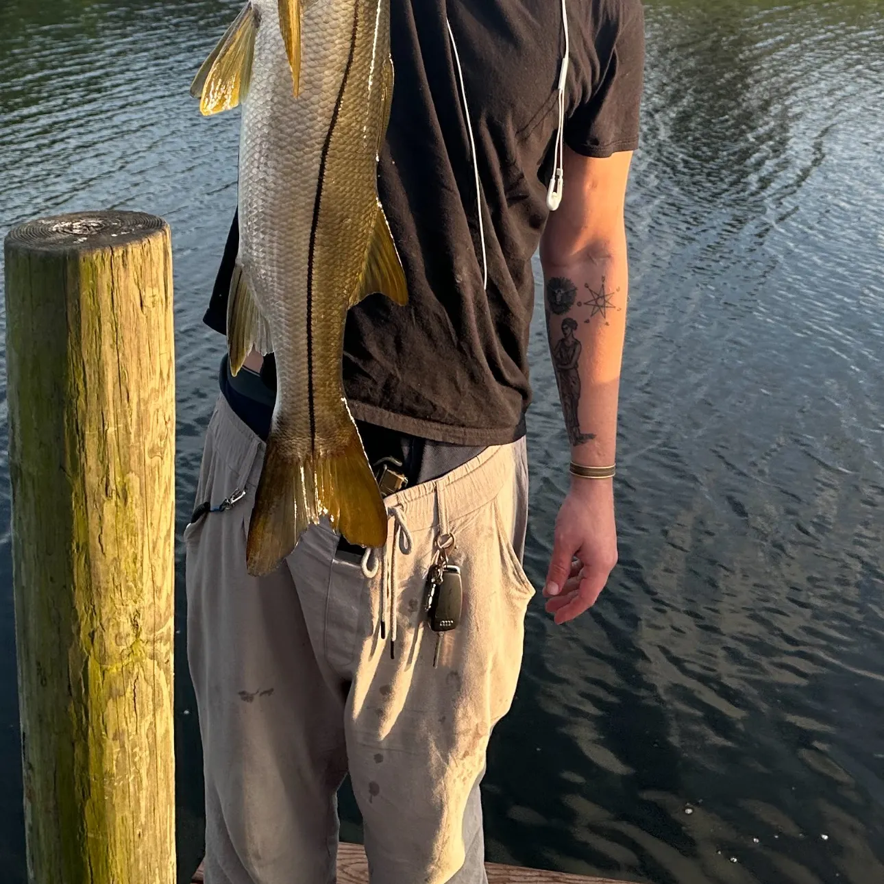 recently logged catches