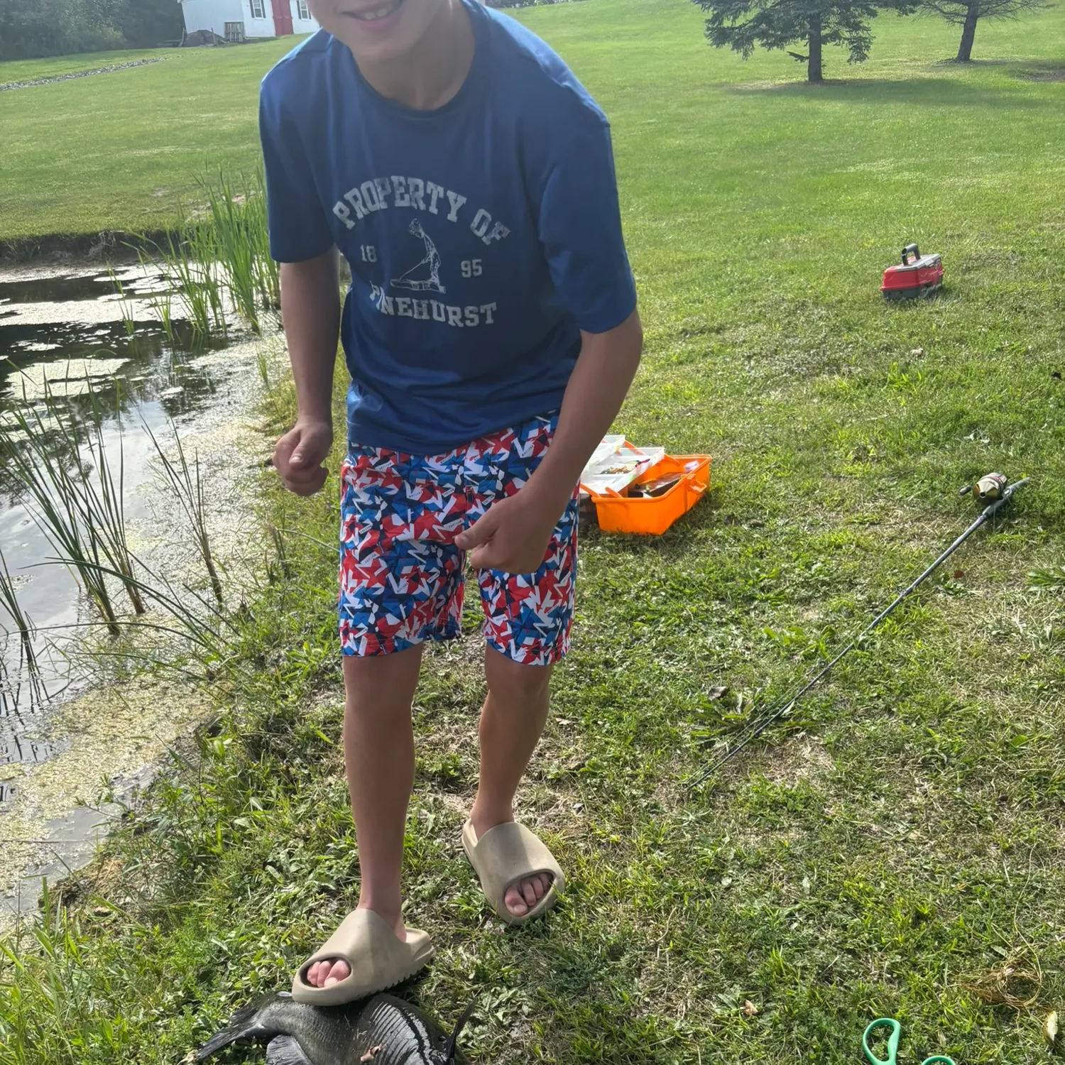 Channel catfish caught on Fishbrain