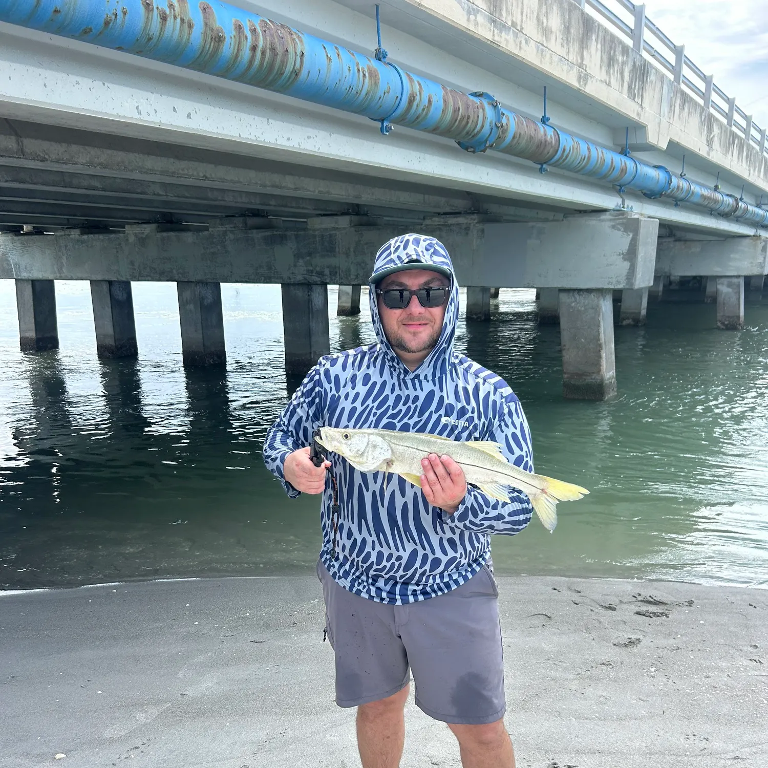 Common snook caught on Fishbrain