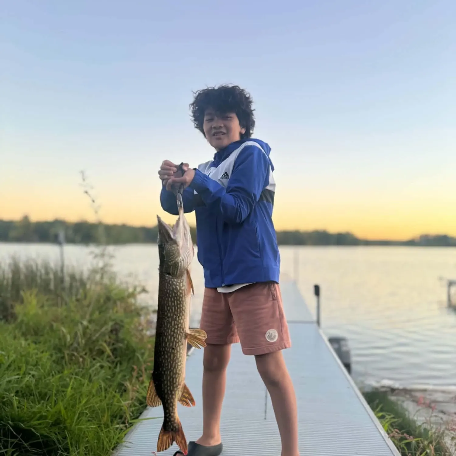 Northern pike caught on Fishbrain
