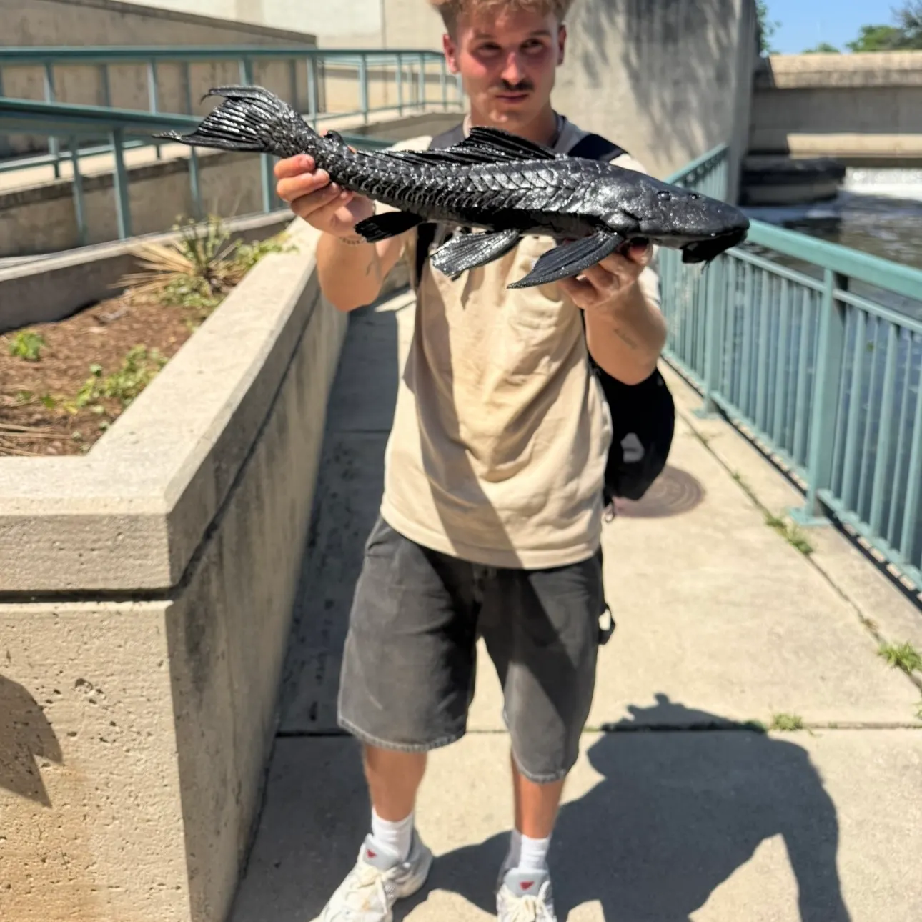 The most recent Suckermouth catfish catches on Fishbrain