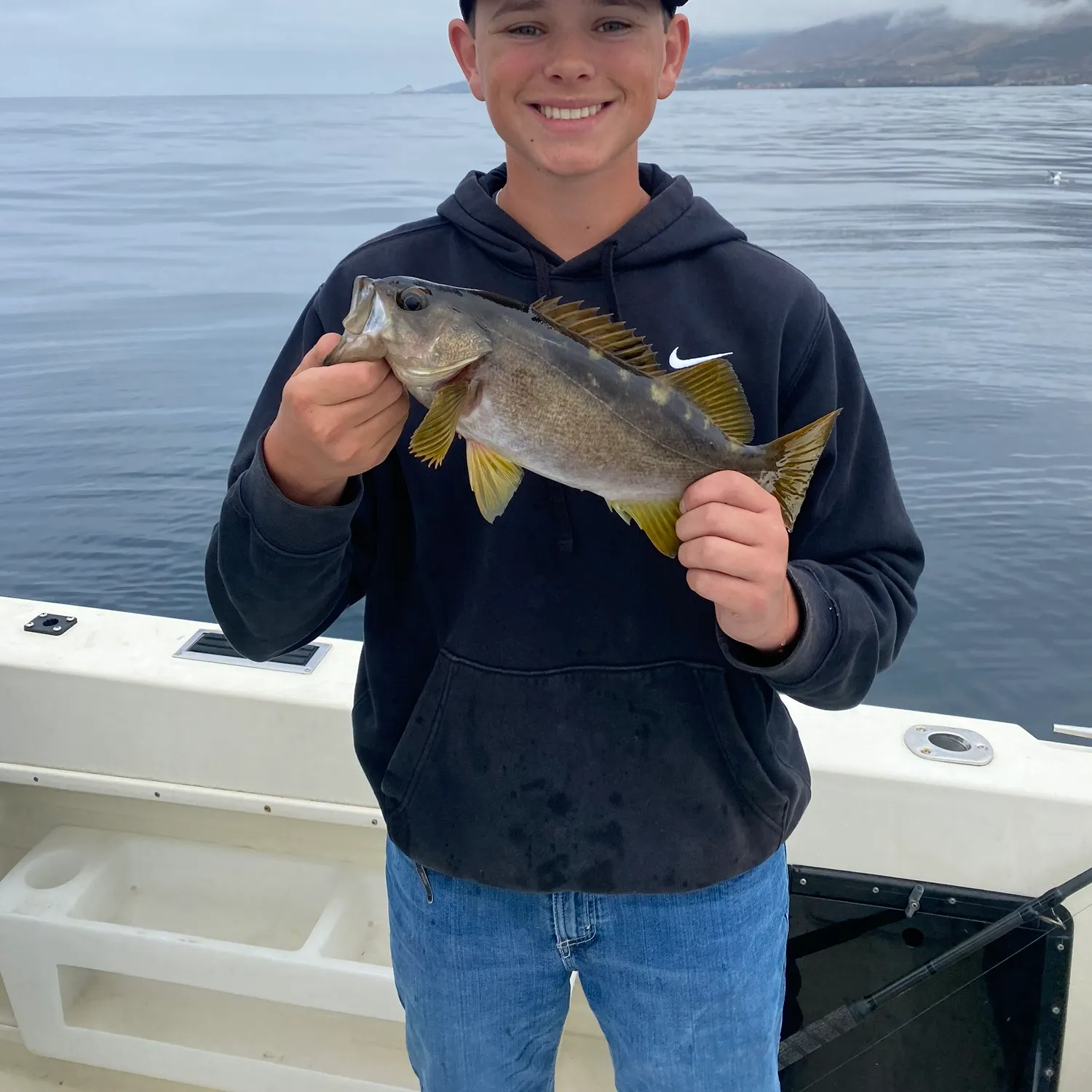 The most recent Olive rockfish catches on Fishbrain