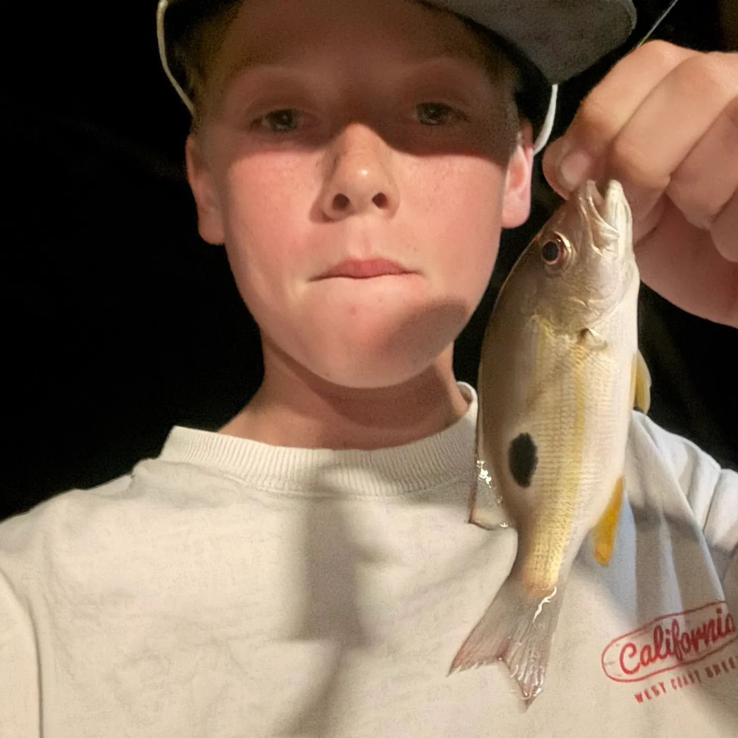 Moses perch caught on Fishbrain