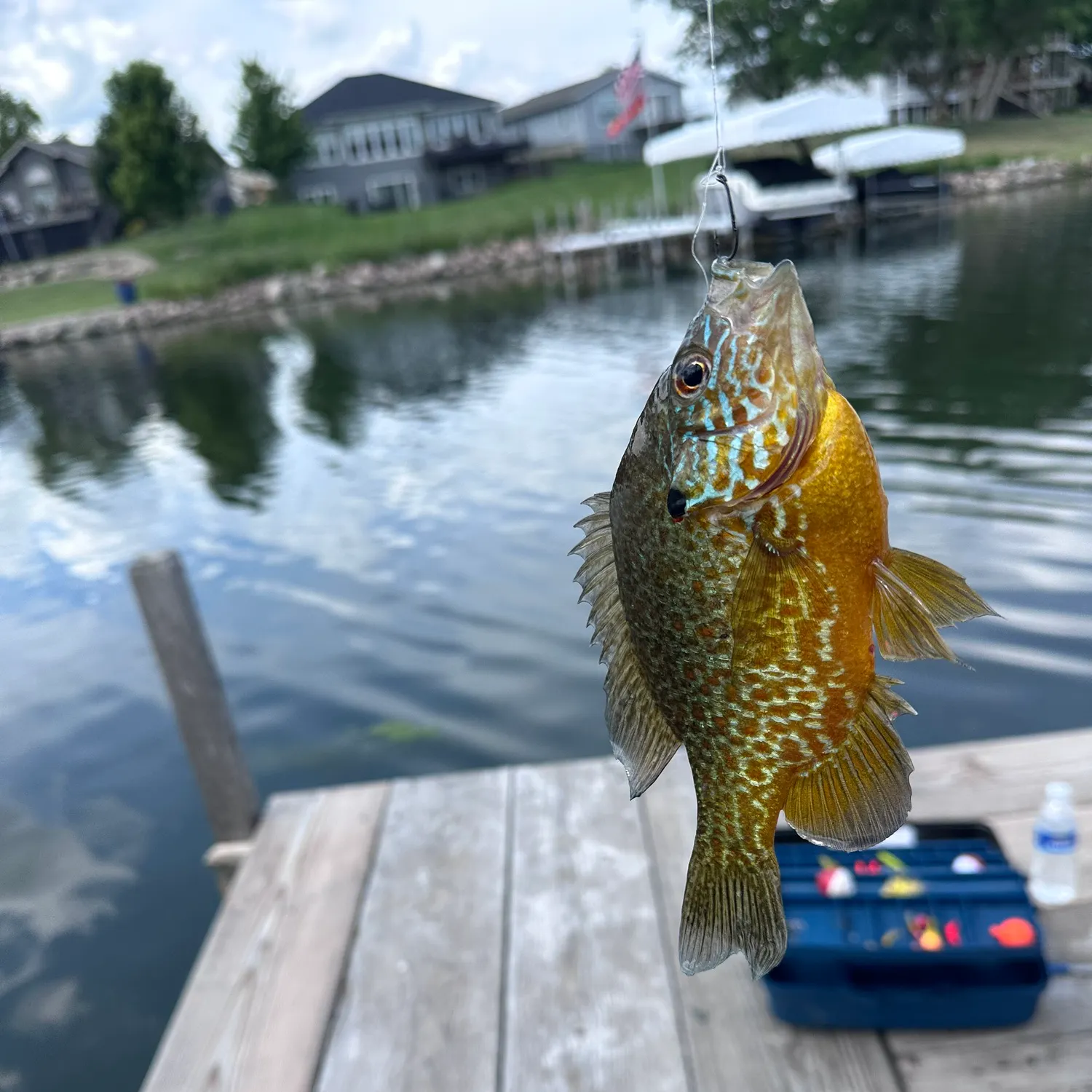 catch