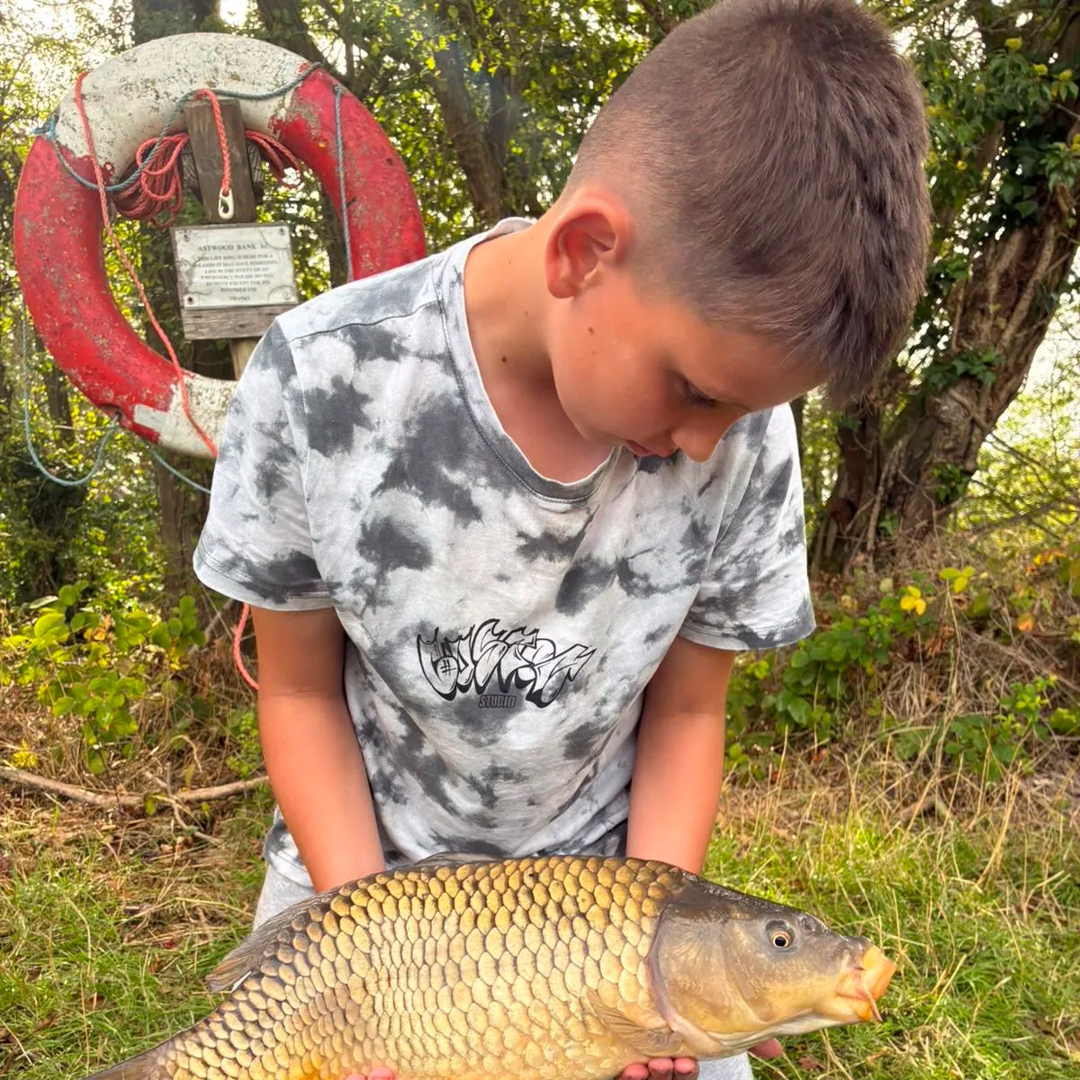 Common carp caught on Fishbrain