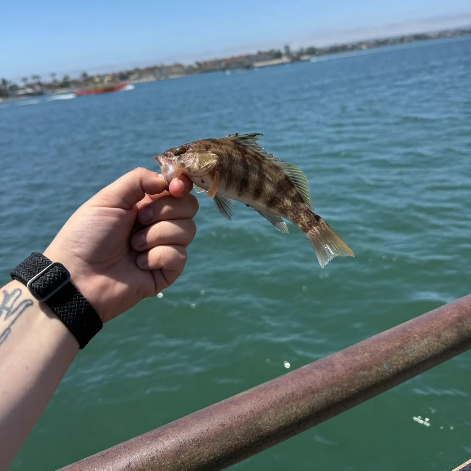 catch