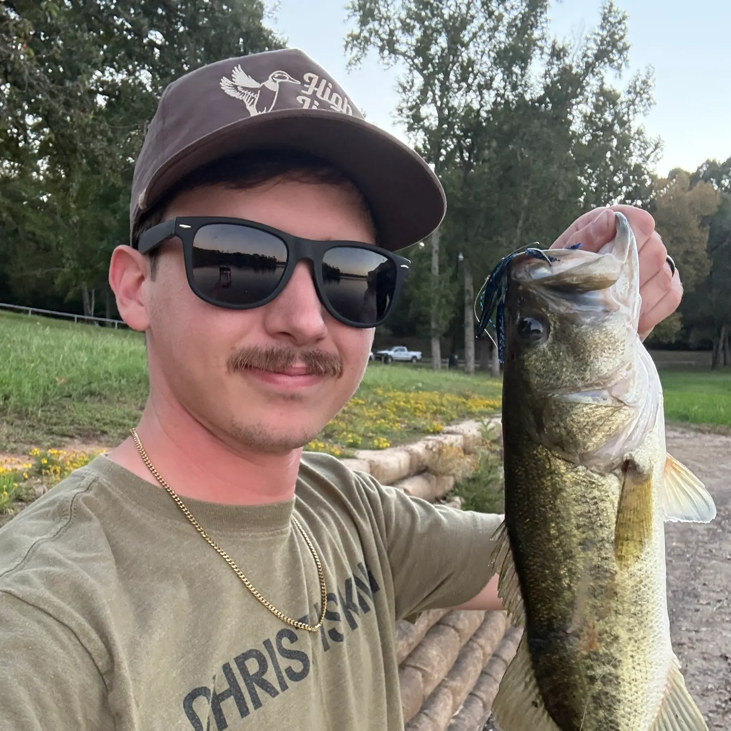 Largemouth bass caught on Fishbrain