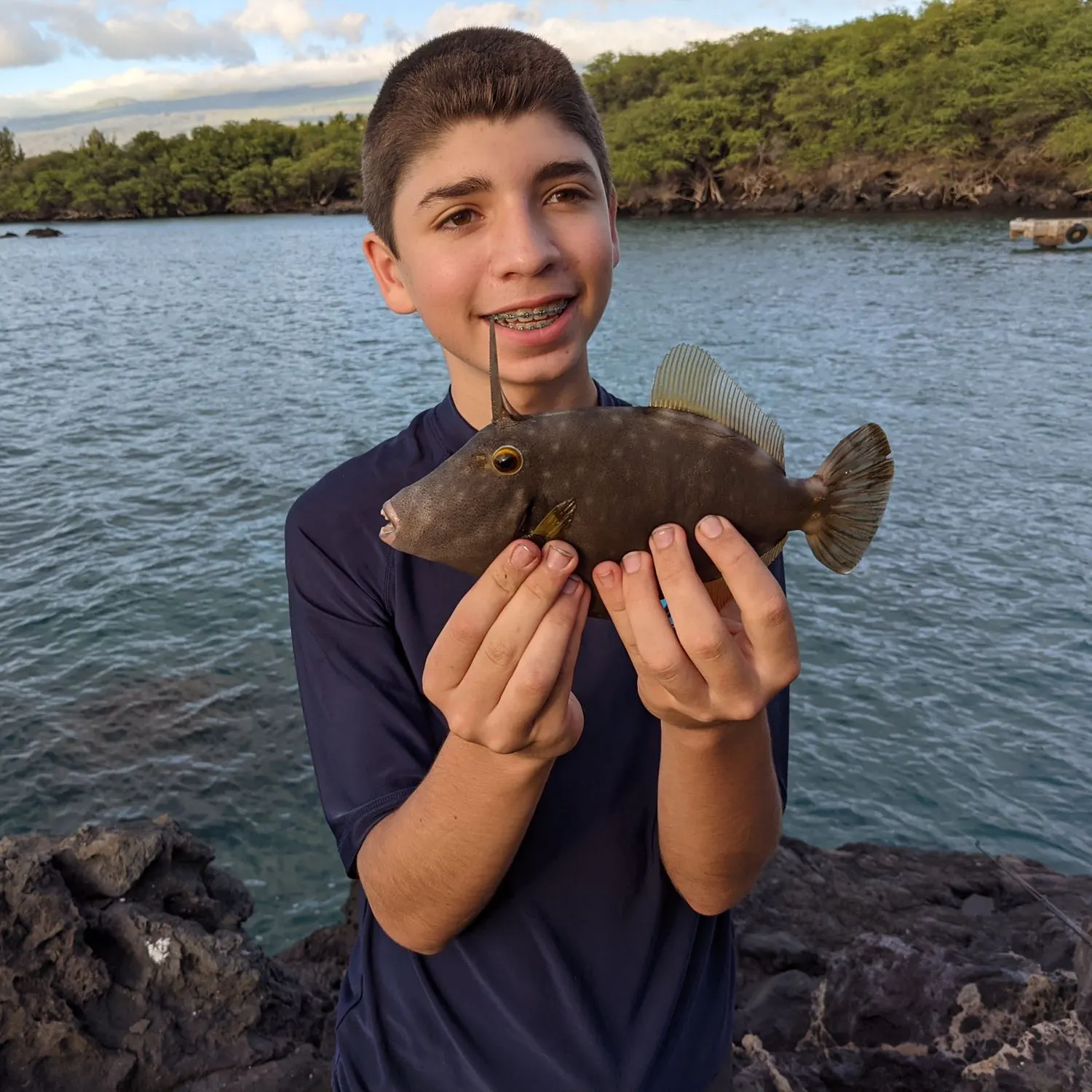 most liked catch image