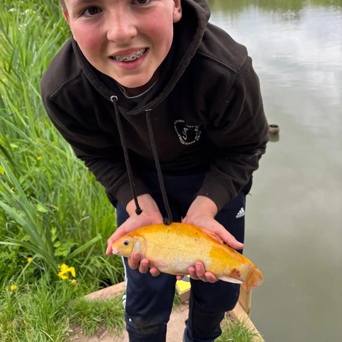 The most recent Golden tench catches on Fishbrain