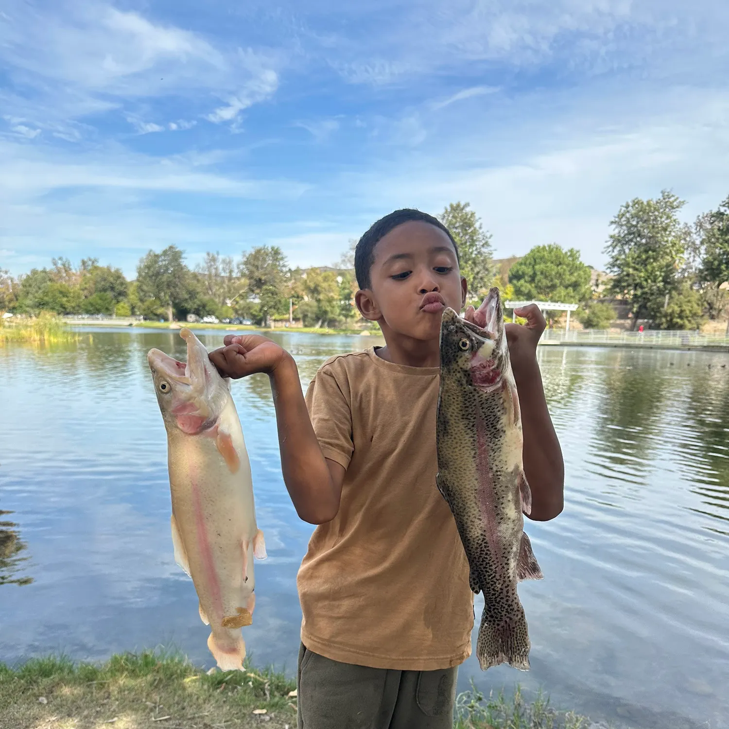 The most recent Rainbow trout catches on Fishbrain