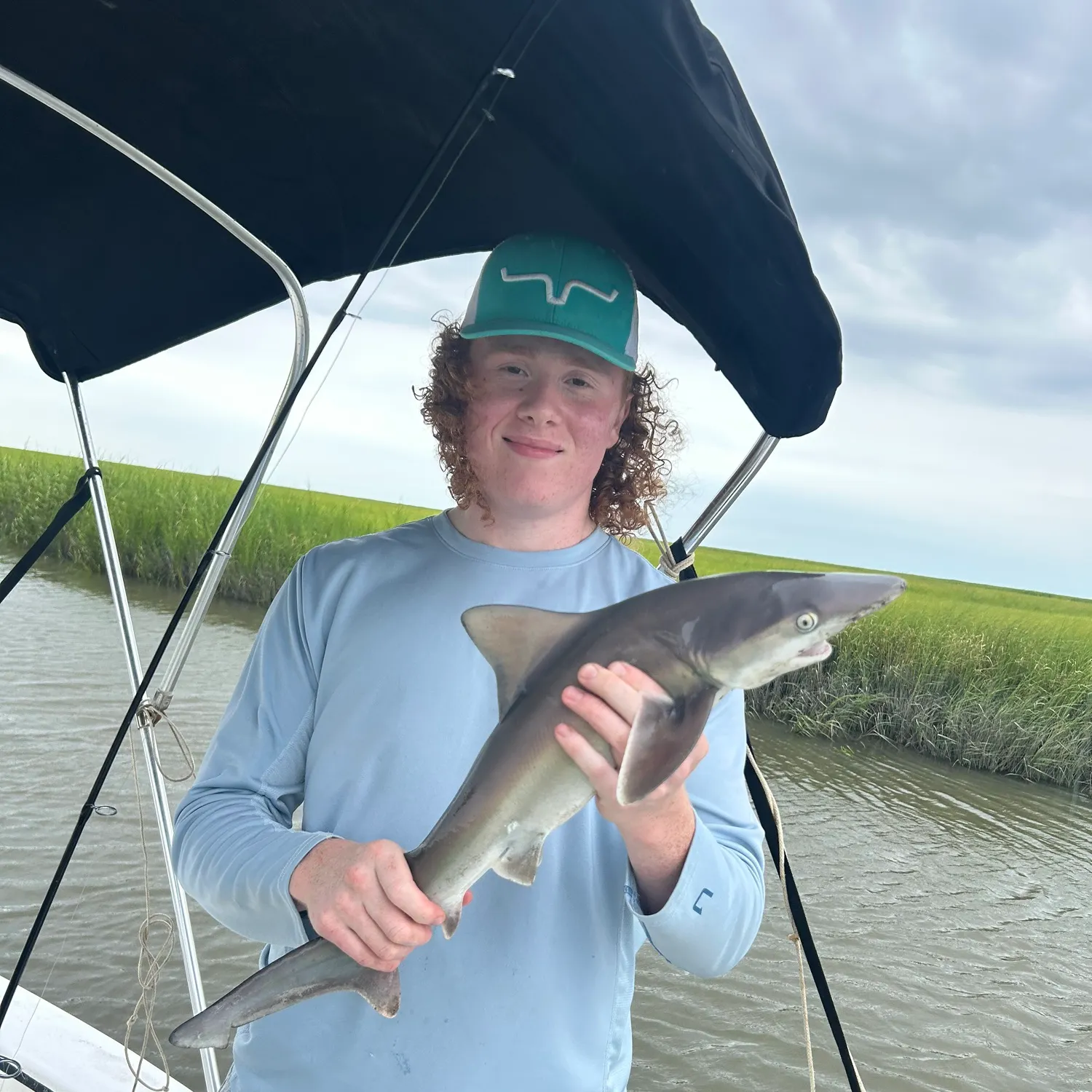 Grey smooth-hound caught on Fishbrain