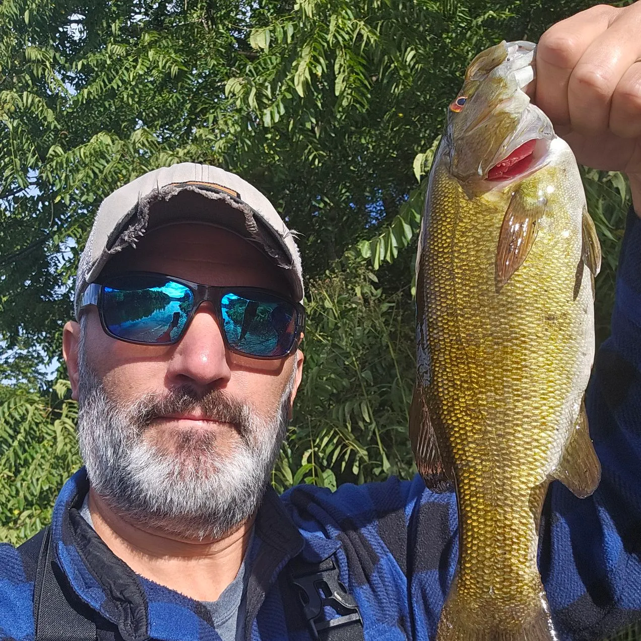 Smallmouth bass caught on Fishbrain