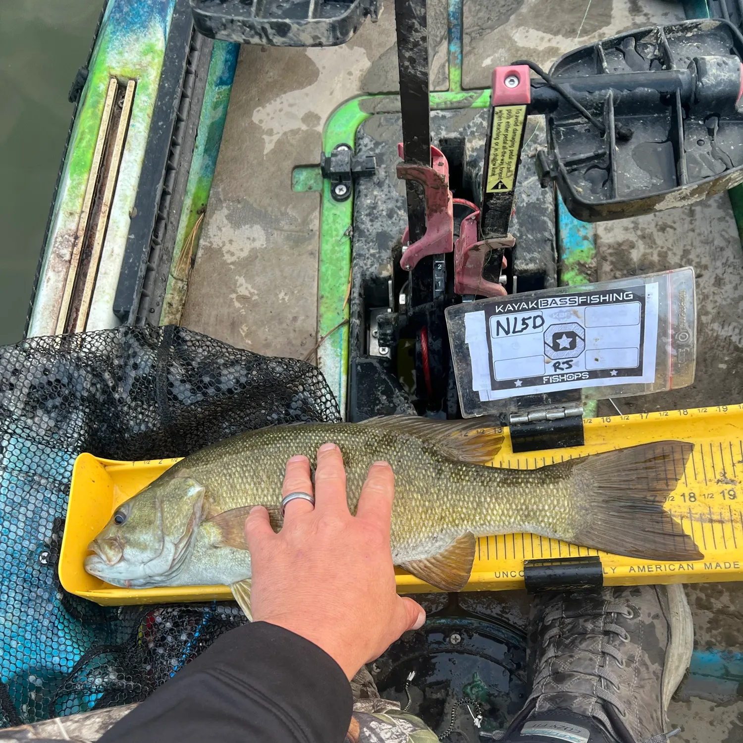 Smallmouth bass caught on Fishbrain