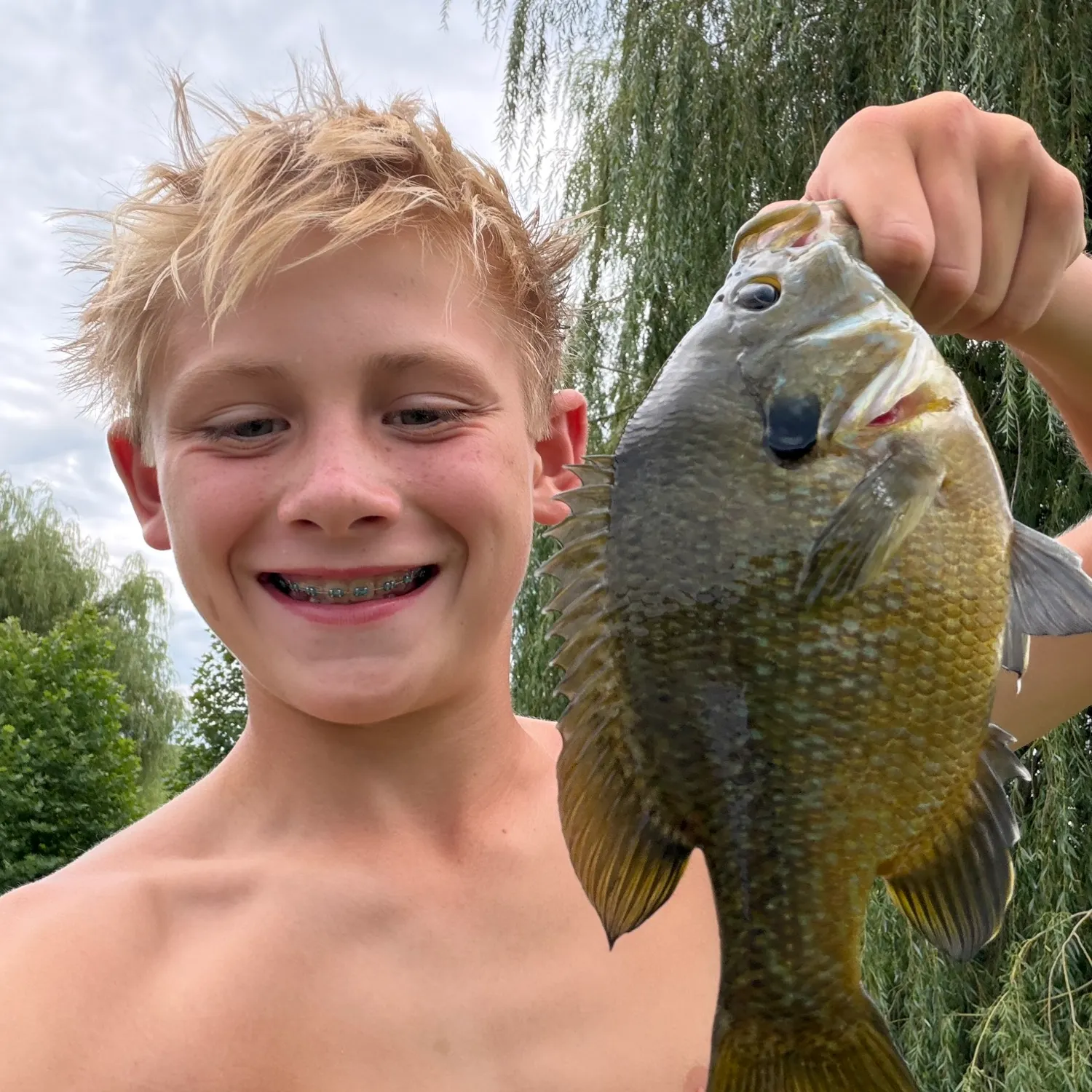Bluegill caught on Fishbrain