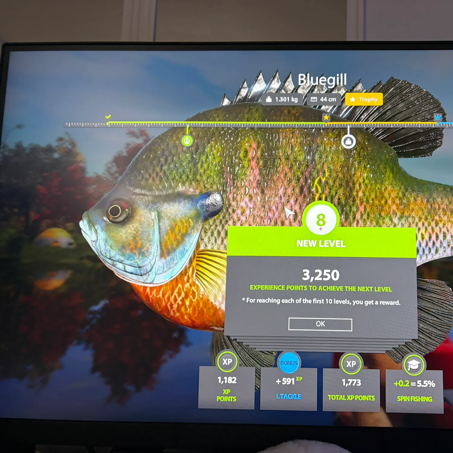 recently logged catches