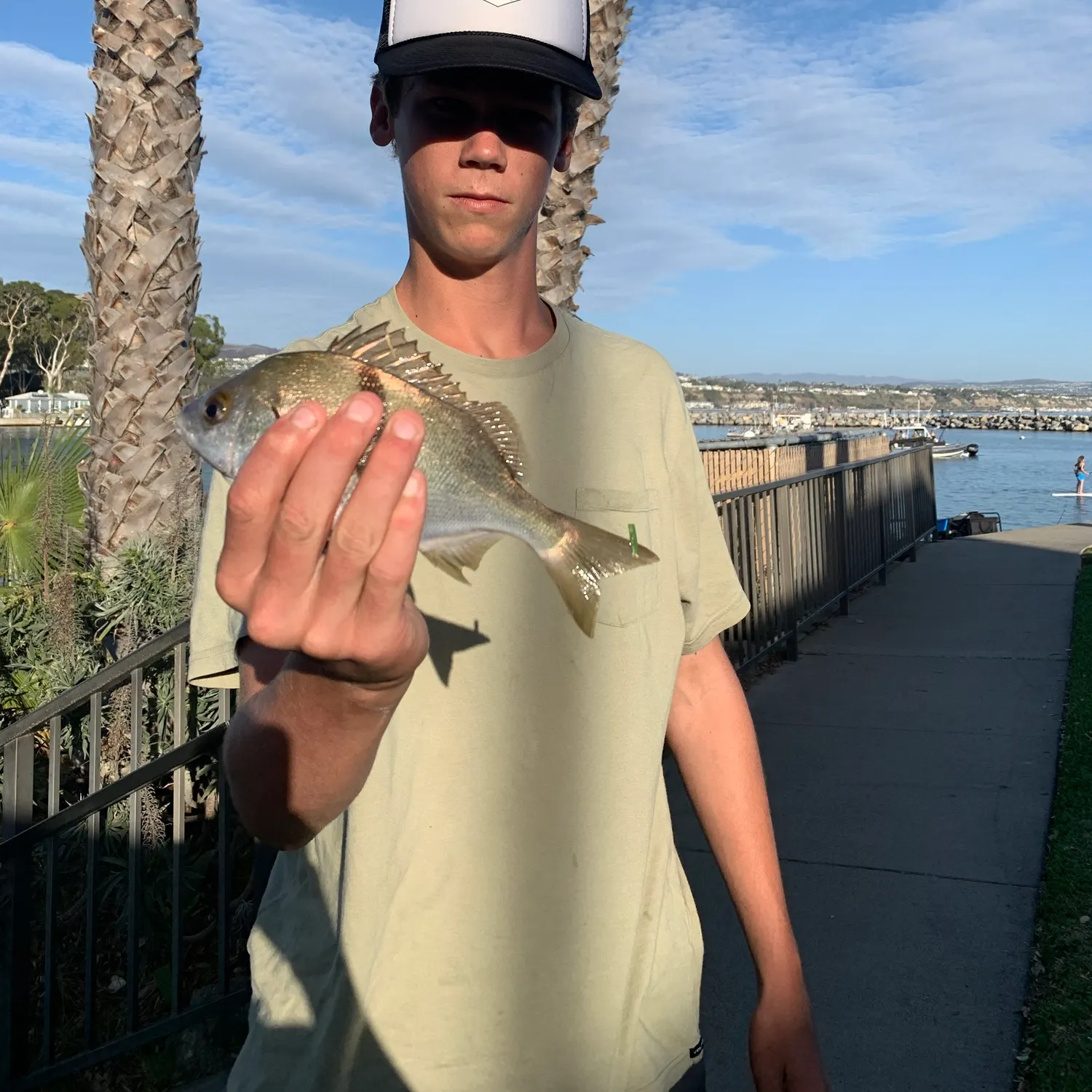 catch