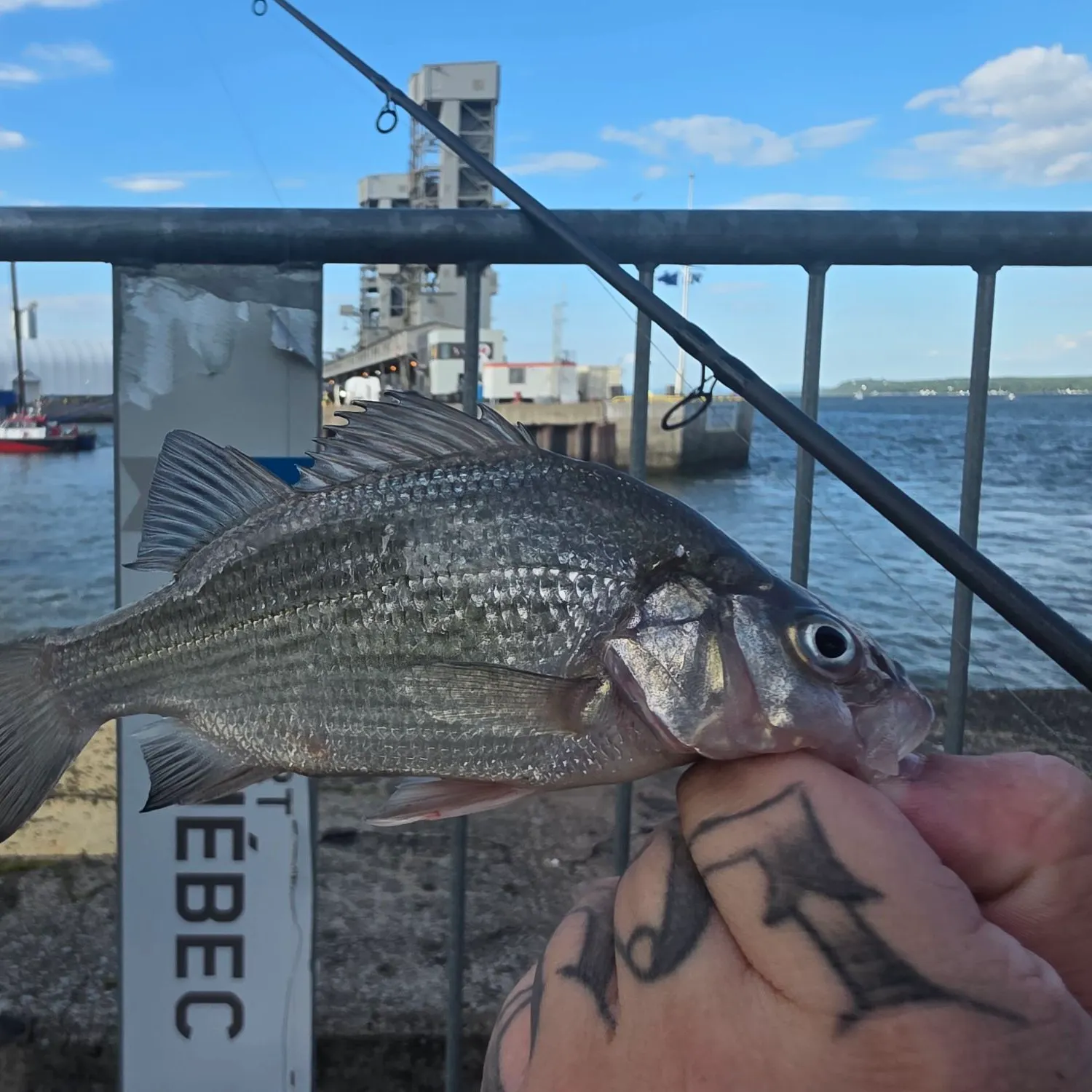 catch