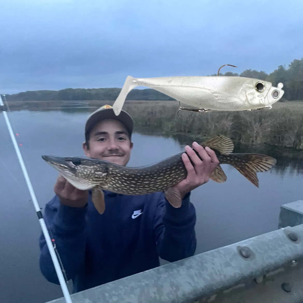 Northern pike caught on Fishbrain