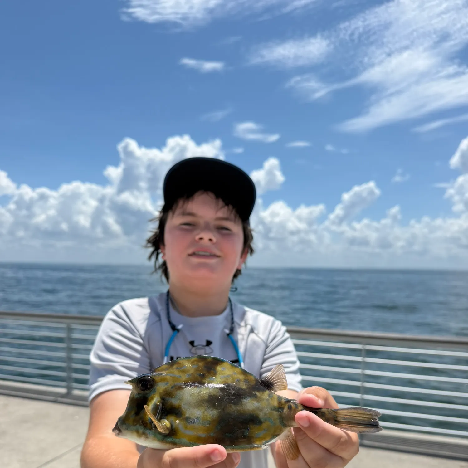 The most recent Scrawled cowfish catches on Fishbrain