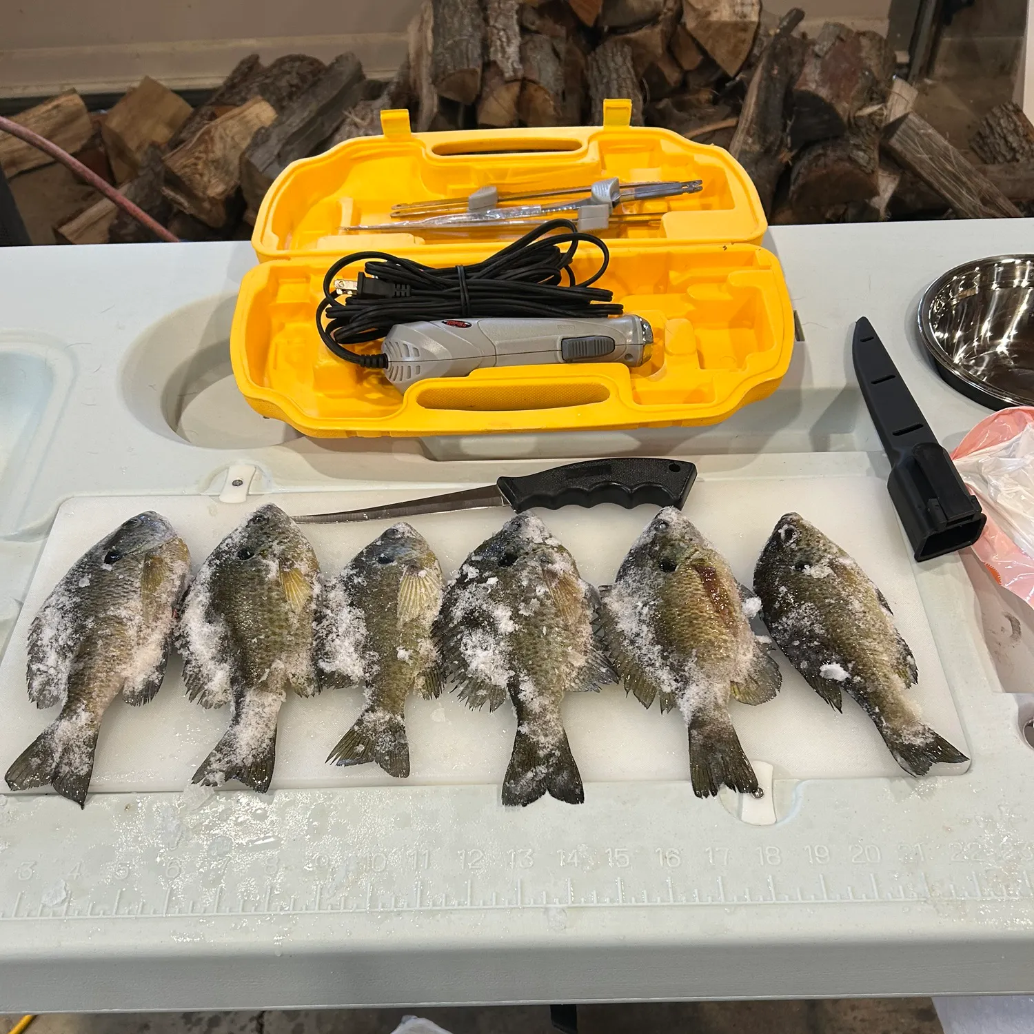 recently logged catches