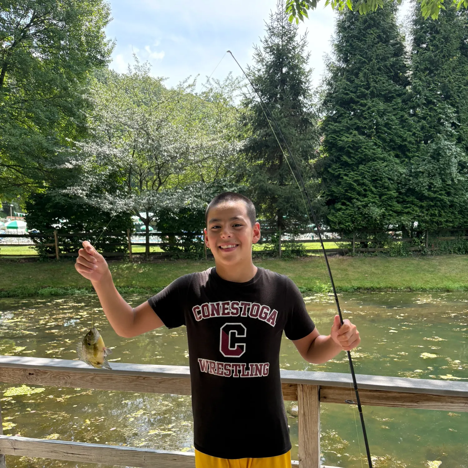 recently logged catches