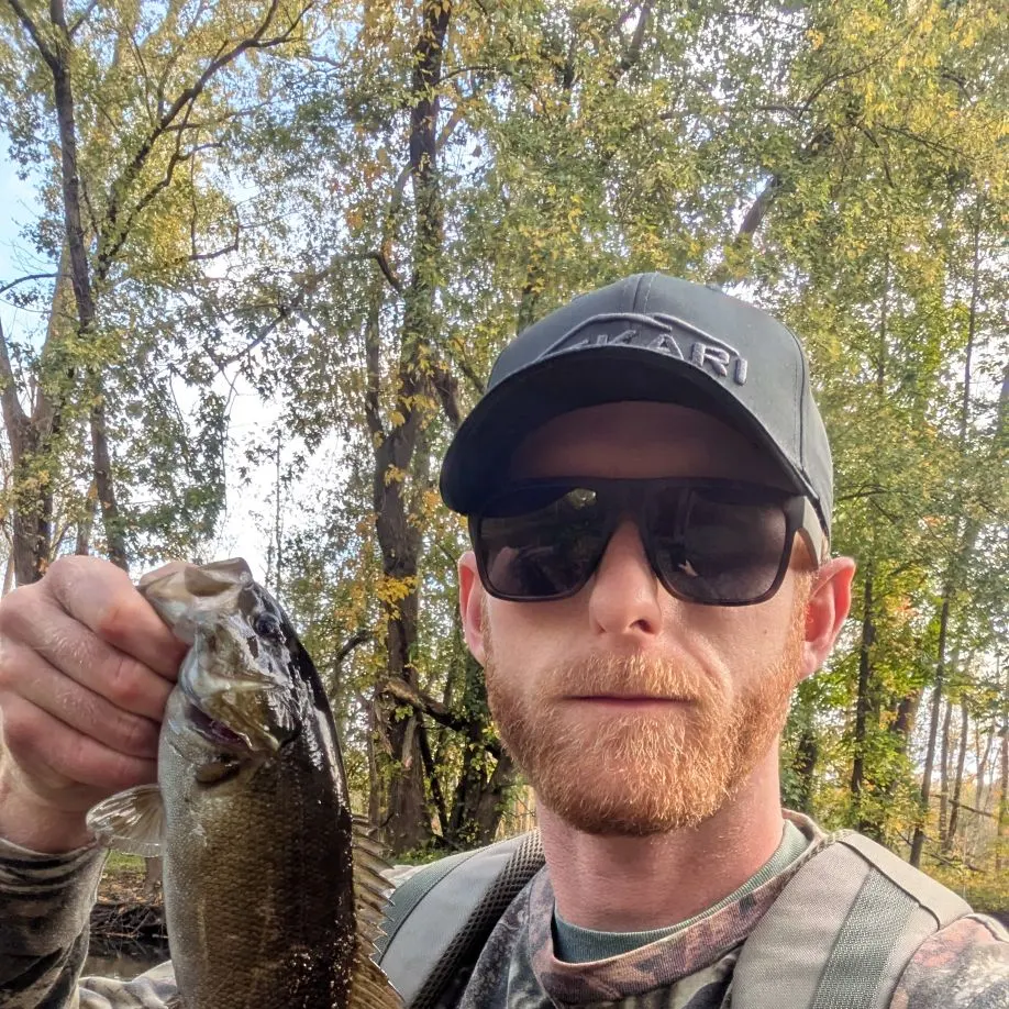 Smallmouth bass caught on Fishbrain