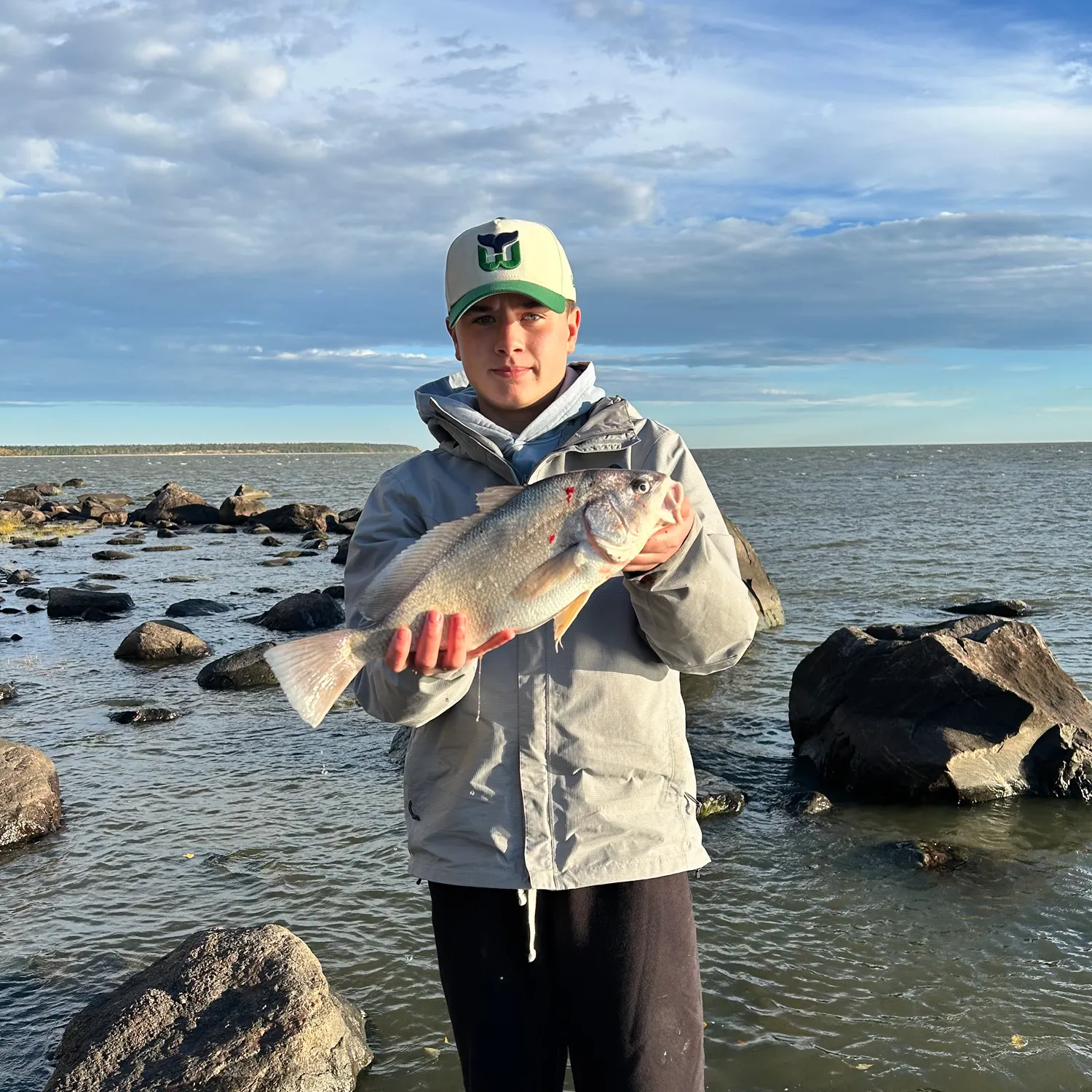 Freshwater drum caught on Fishbrain