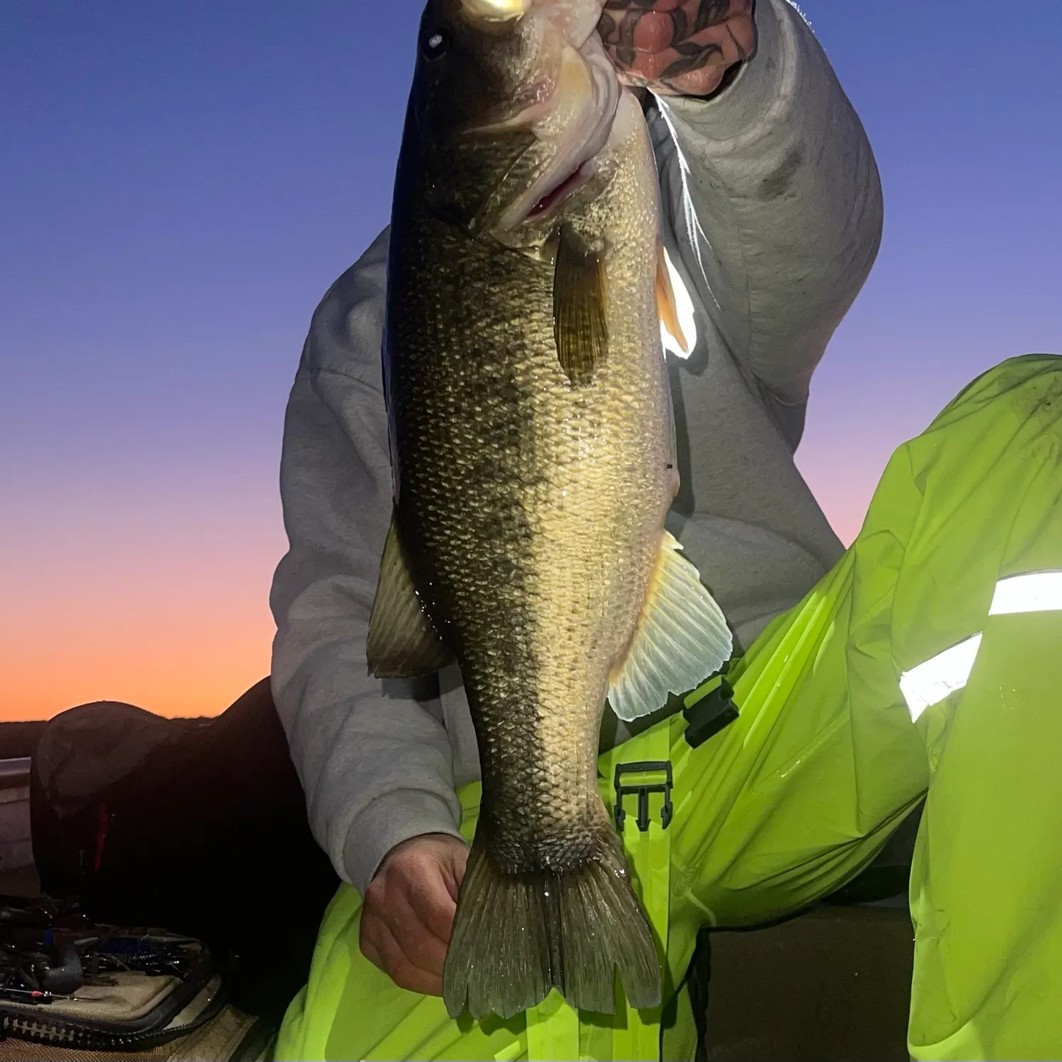 Largemouth bass caught on Fishbrain