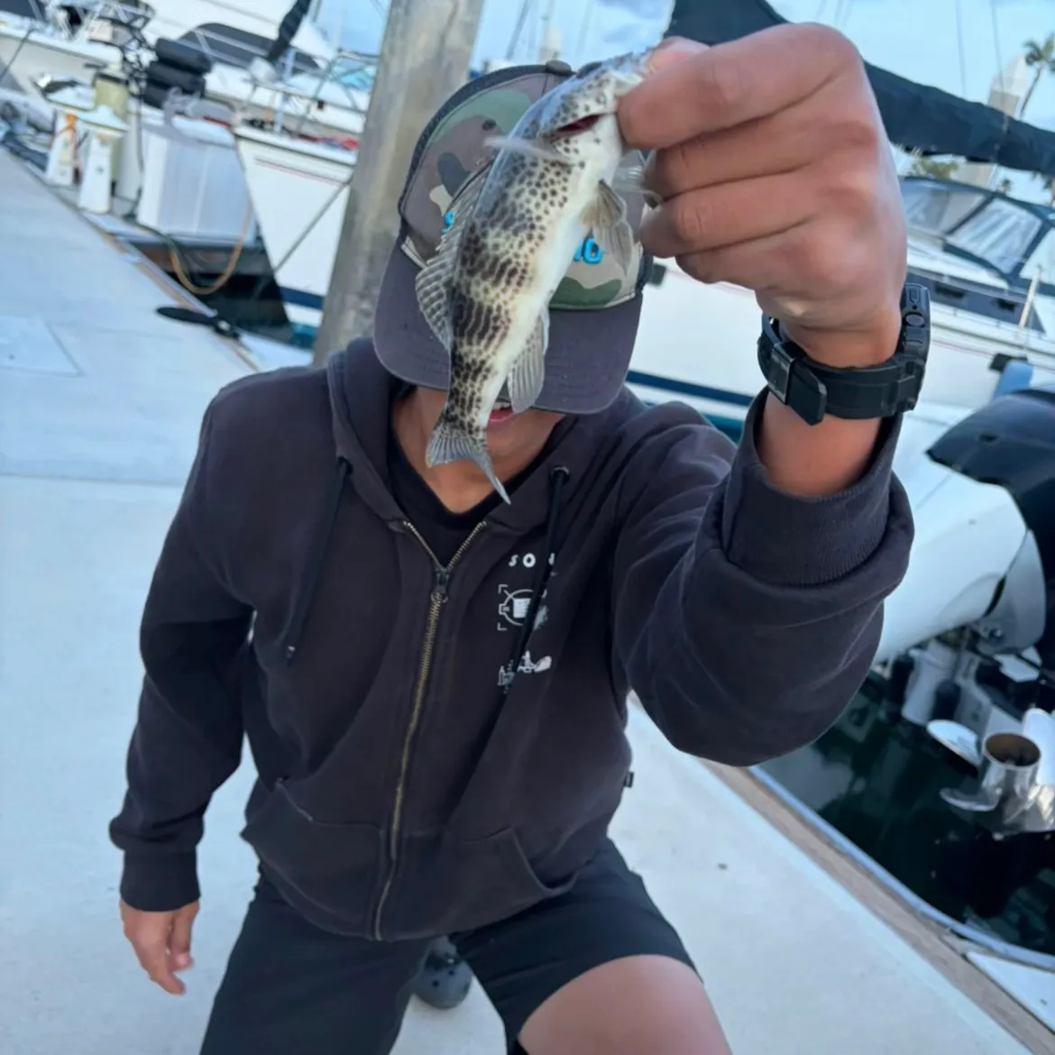catch