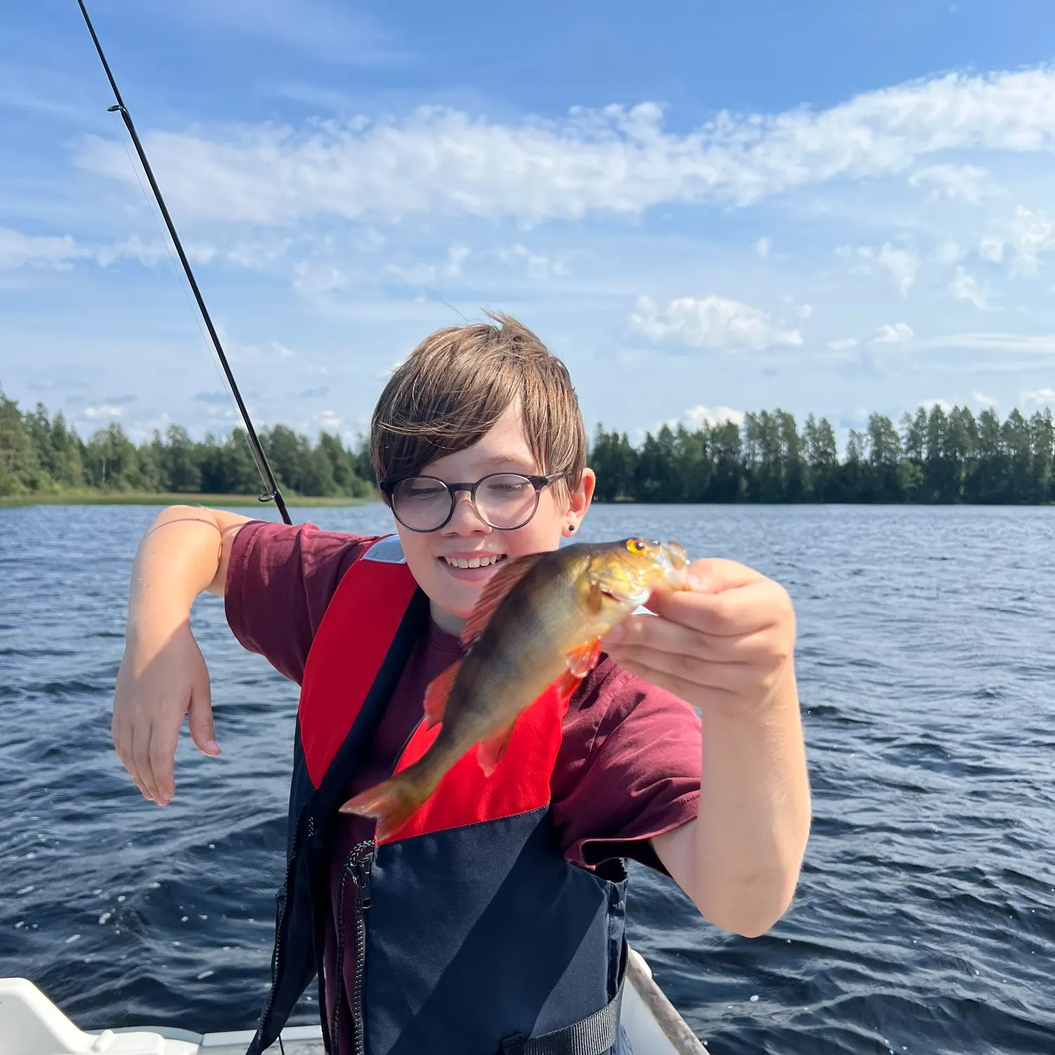 European perch caught on Fishbrain