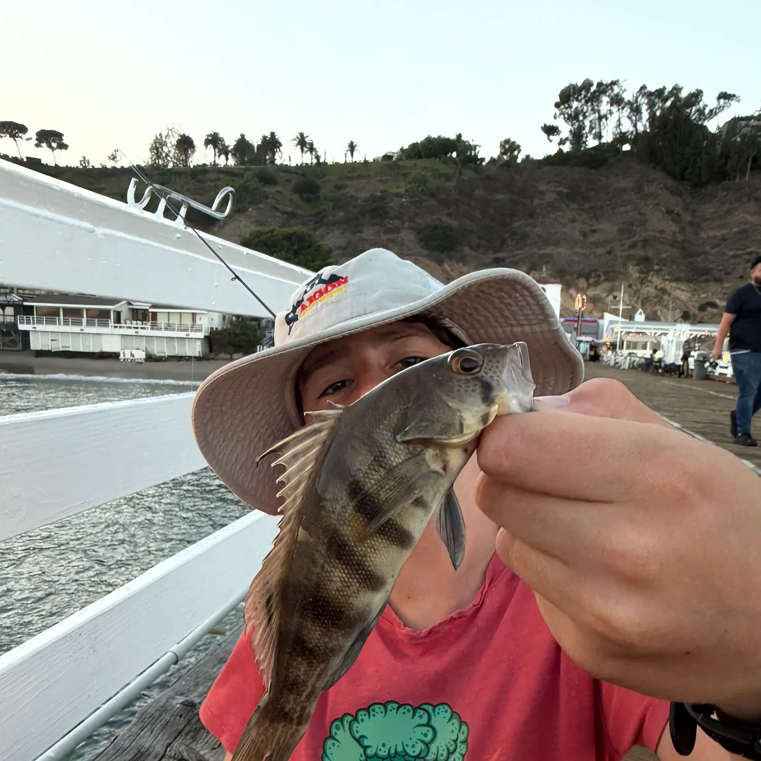 Barred sand bass caught on Fishbrain