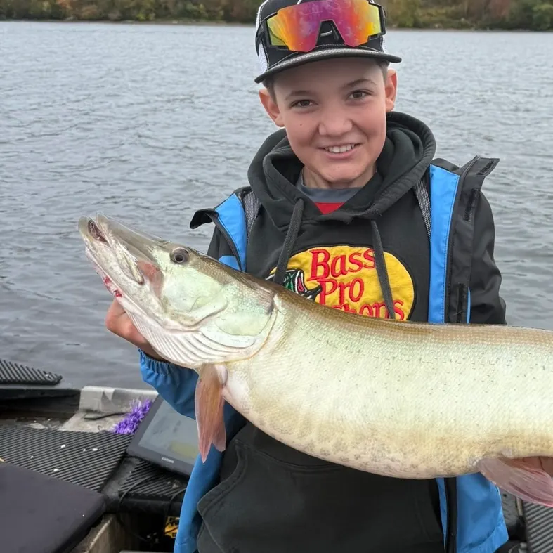 The most recent Muskellunge catches on Fishbrain