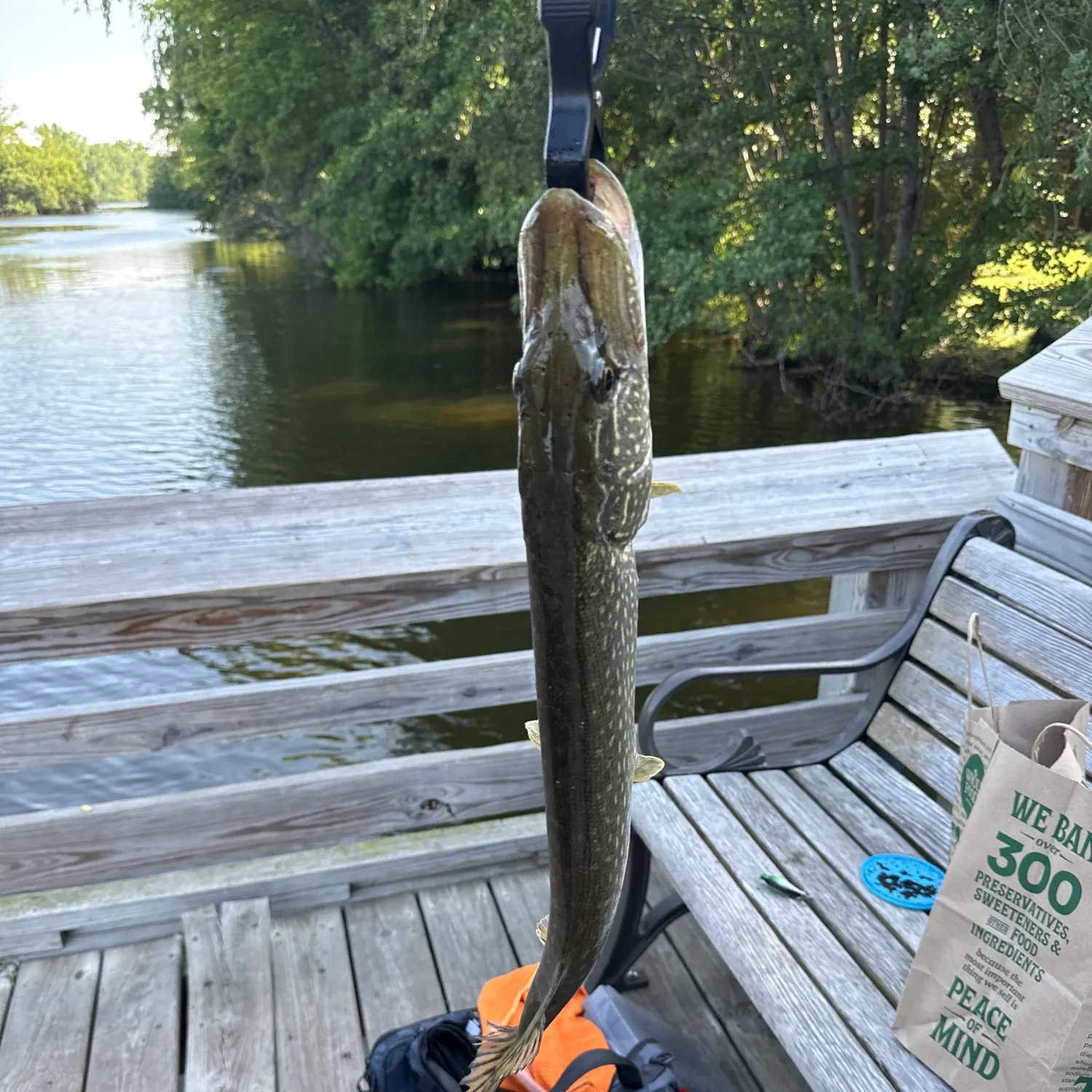 catch