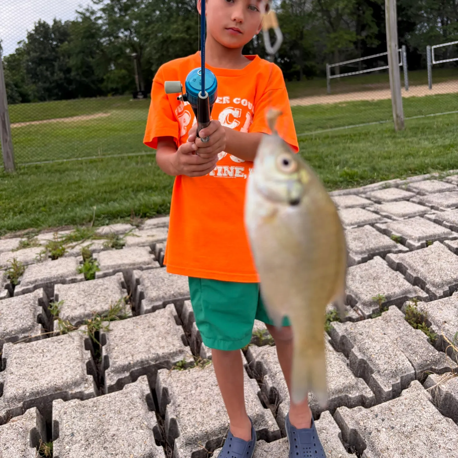 Smallmouth buffalo caught on Fishbrain