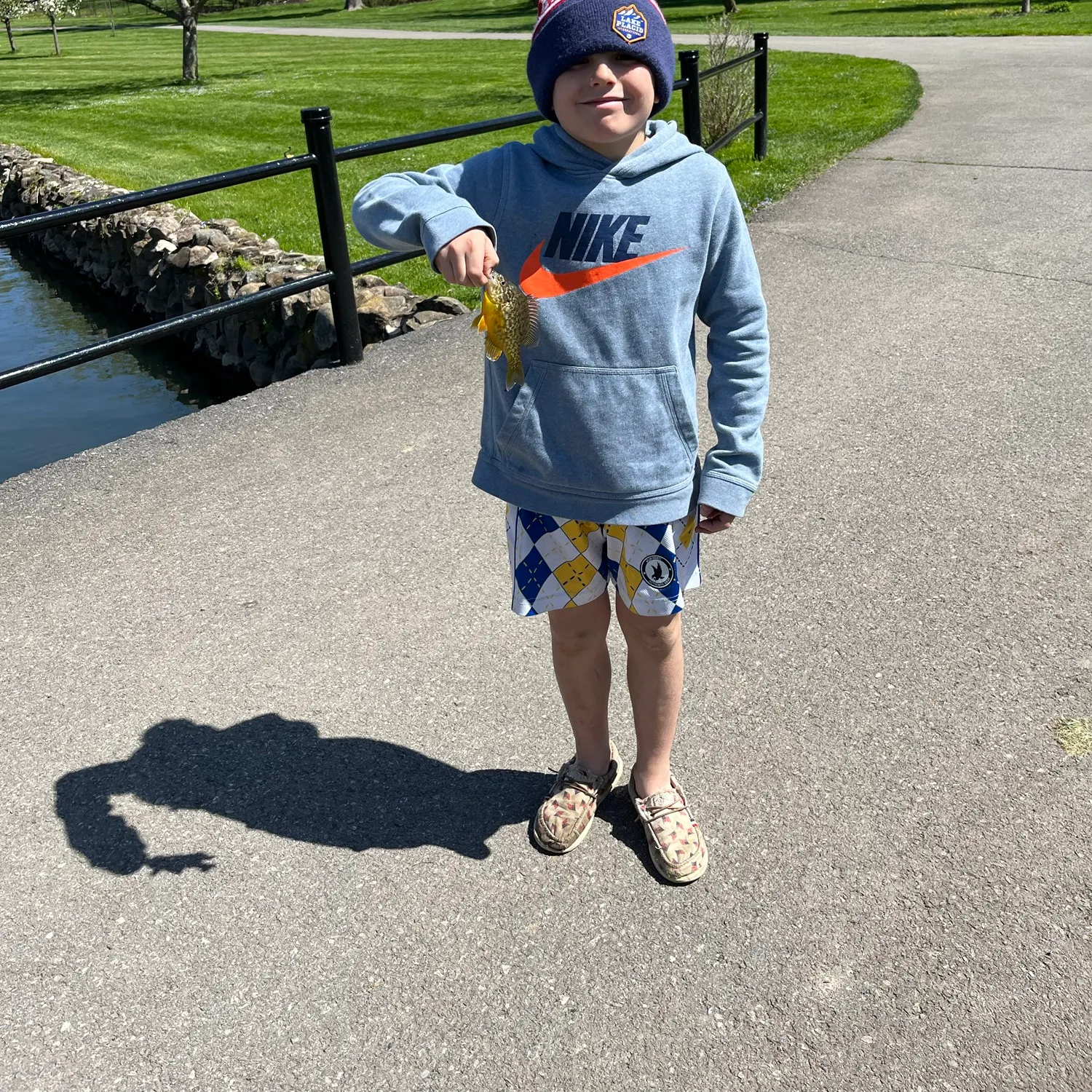 The most recent Goldfish catches on Fishbrain
