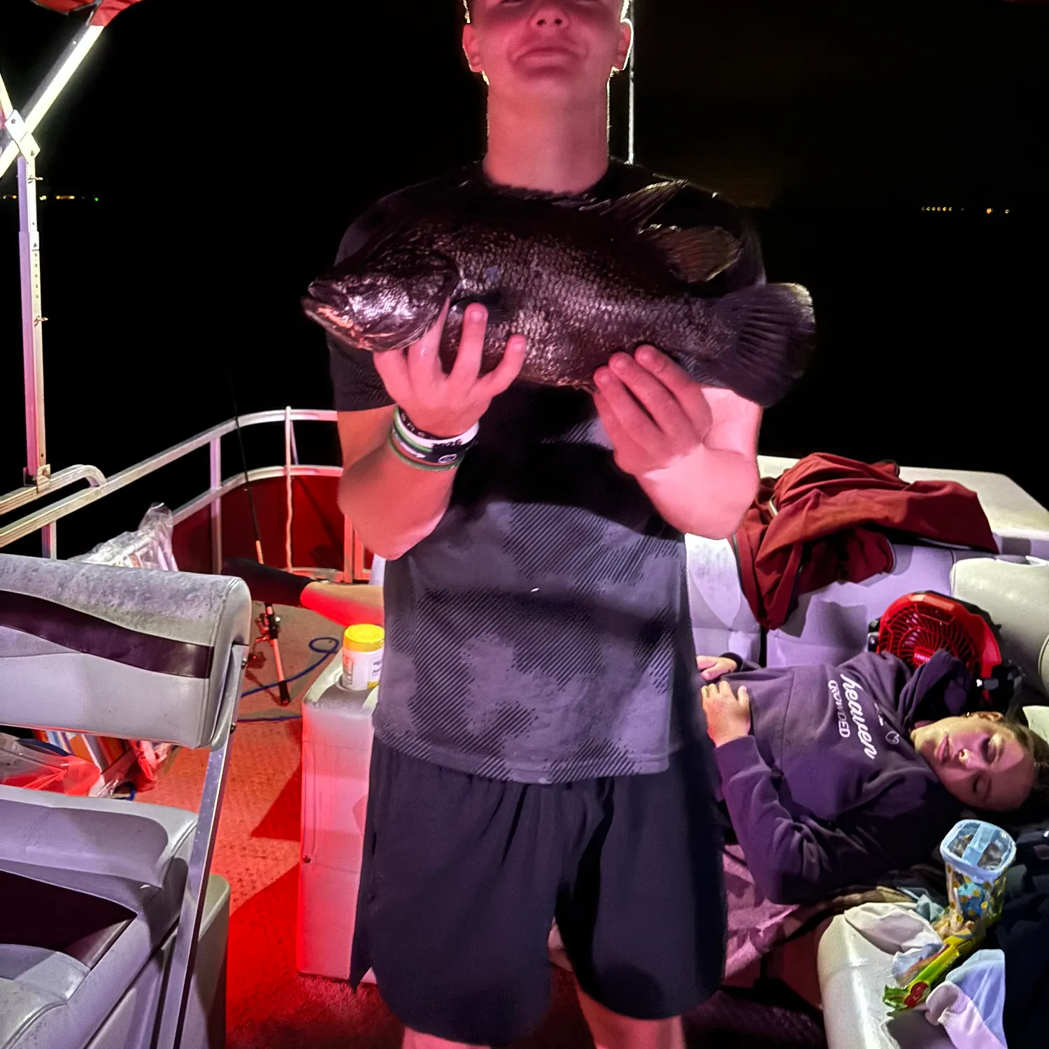 The most recent Atlantic tripletail catches on Fishbrain