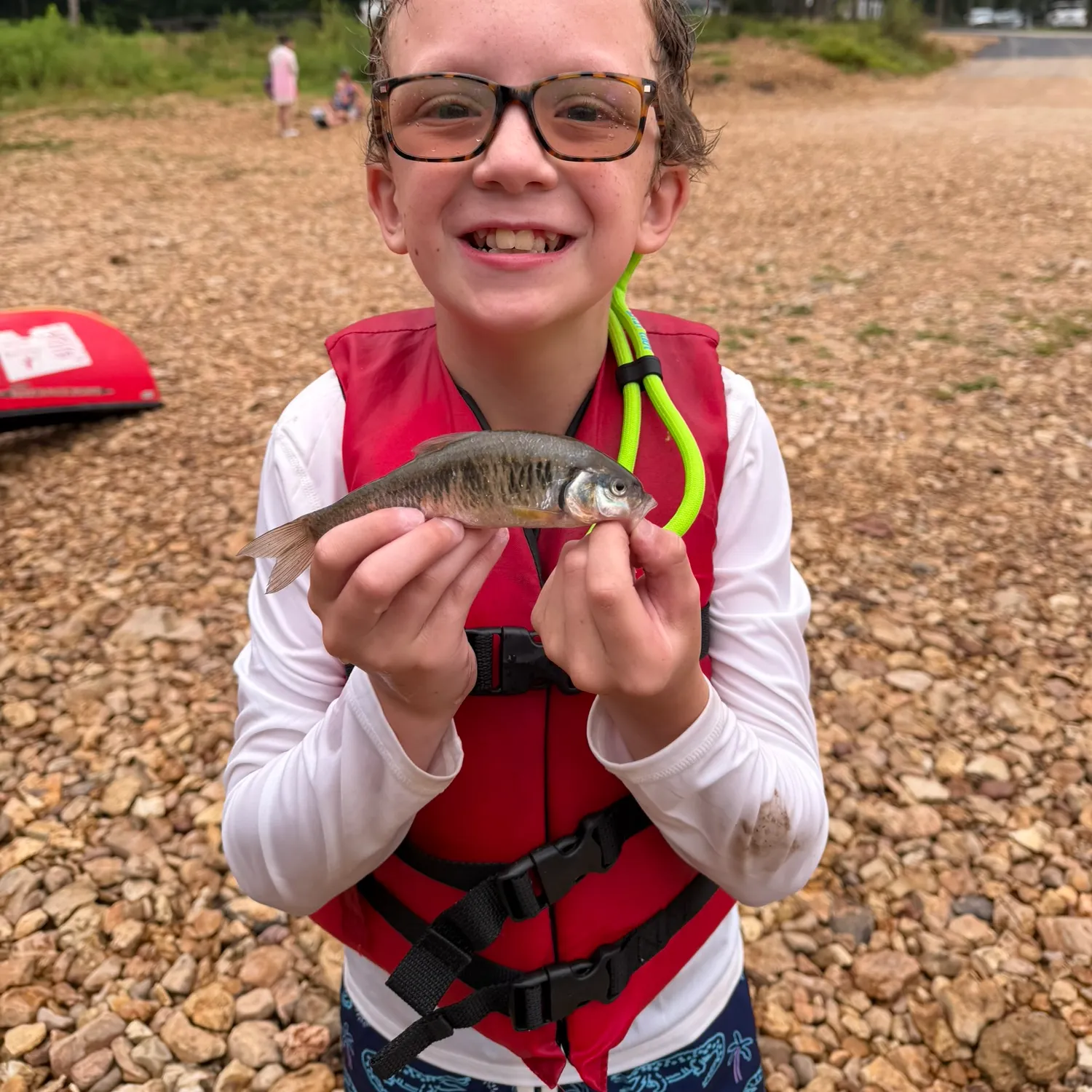 The most recent Striped shiner catches on Fishbrain
