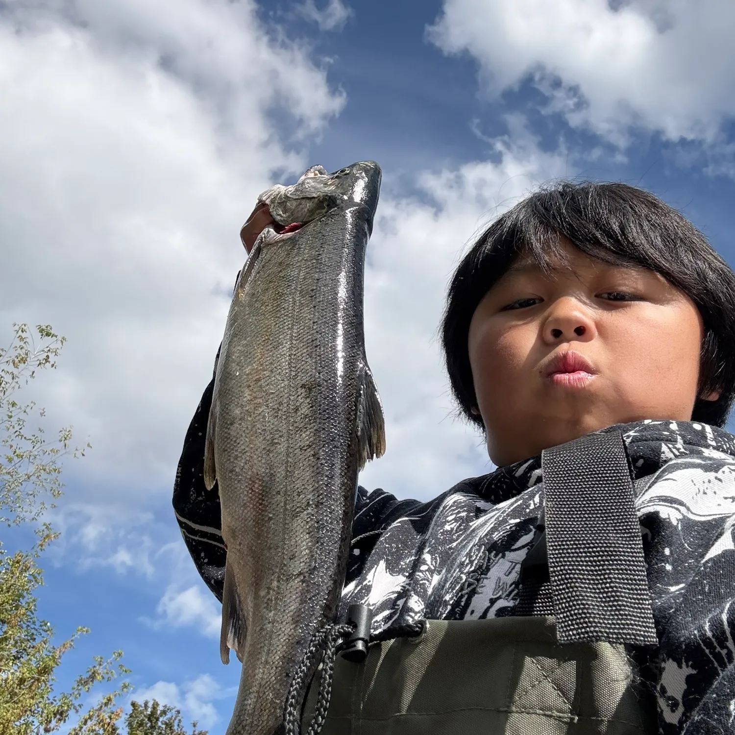 Coho salmon caught on Fishbrain