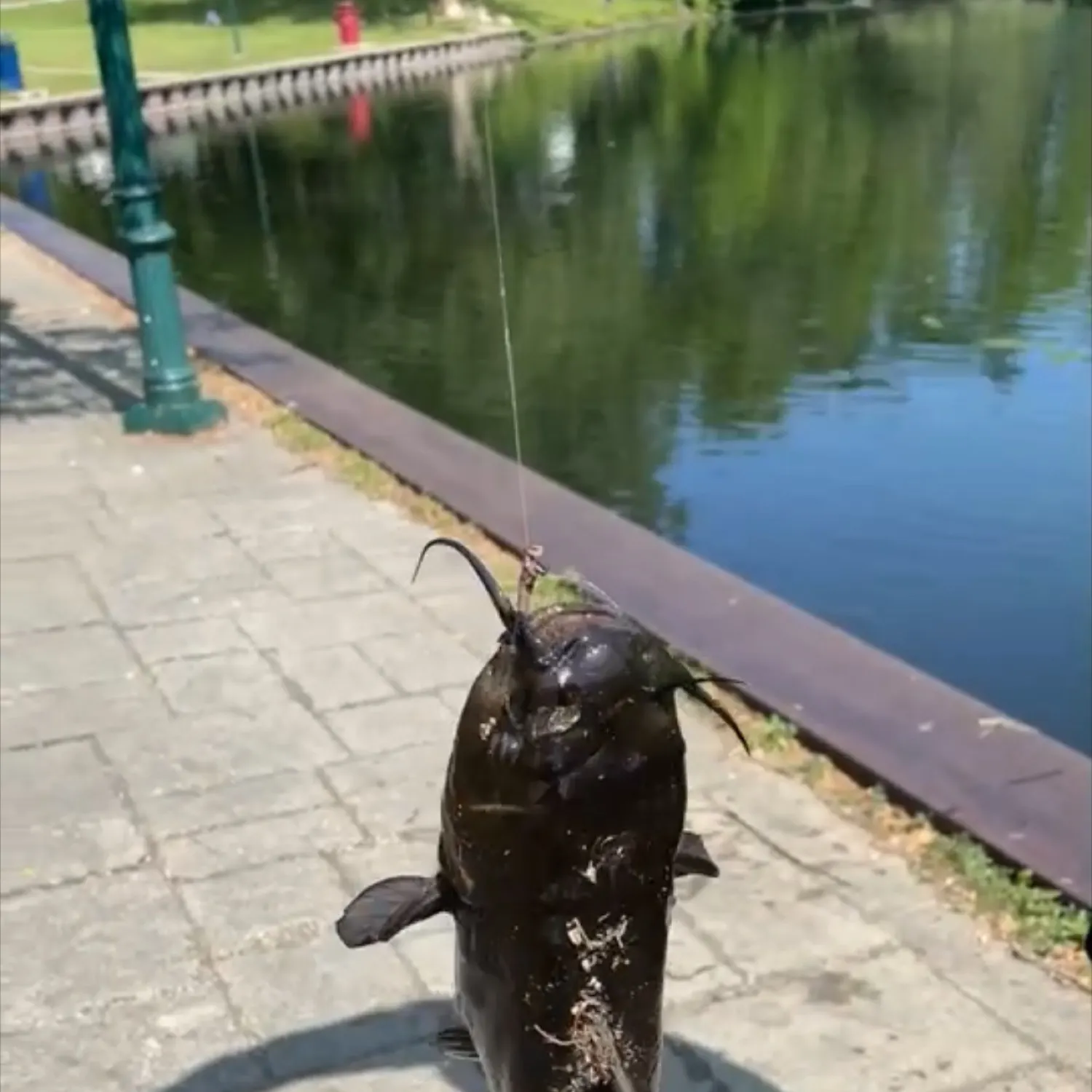 catch