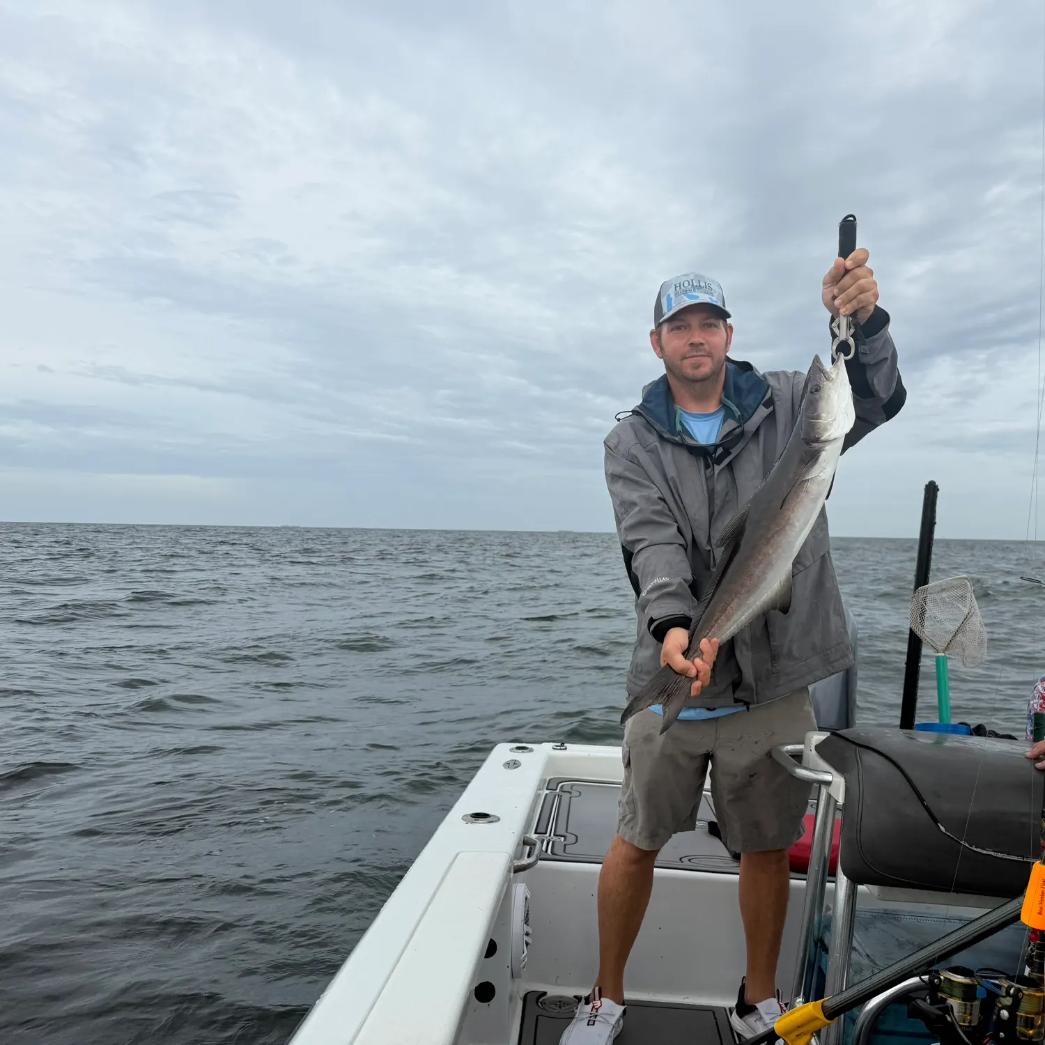 The most recent Cobia catches on Fishbrain