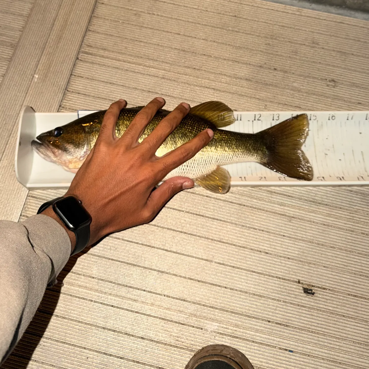 catch